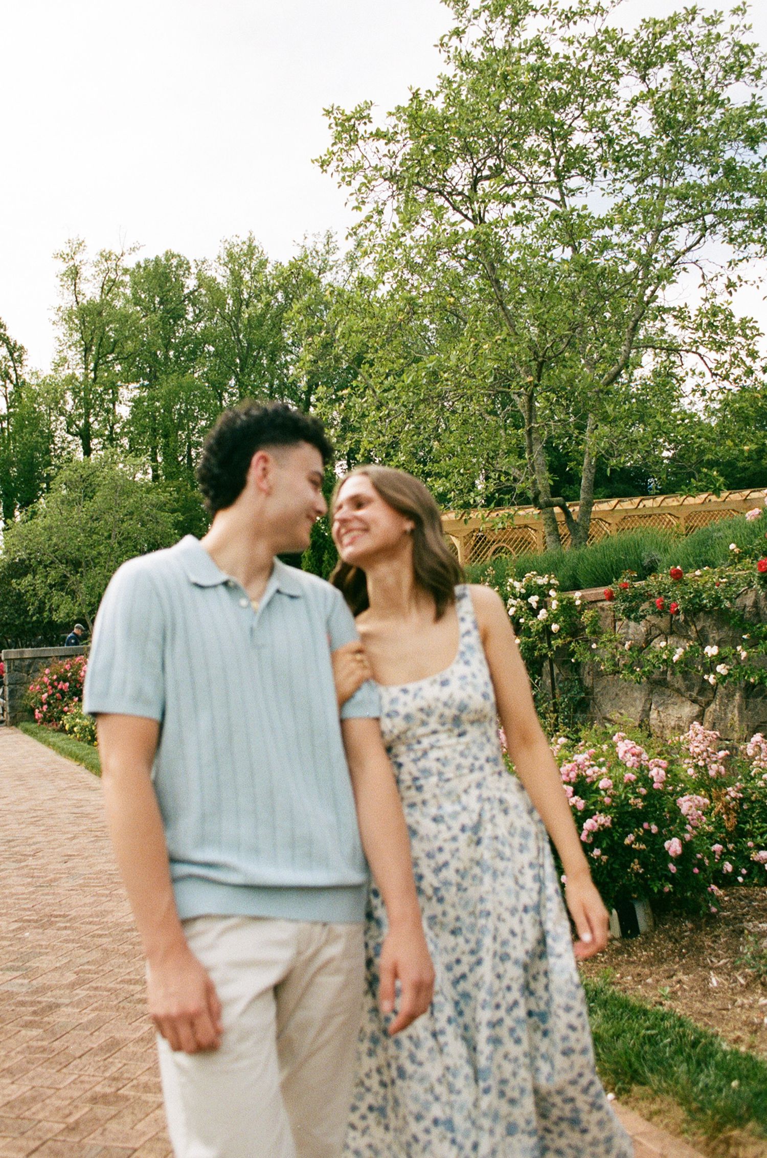 A smiling couple walks hand-in-hand through a blooming garden, with pink roses and lush green trees in the background.