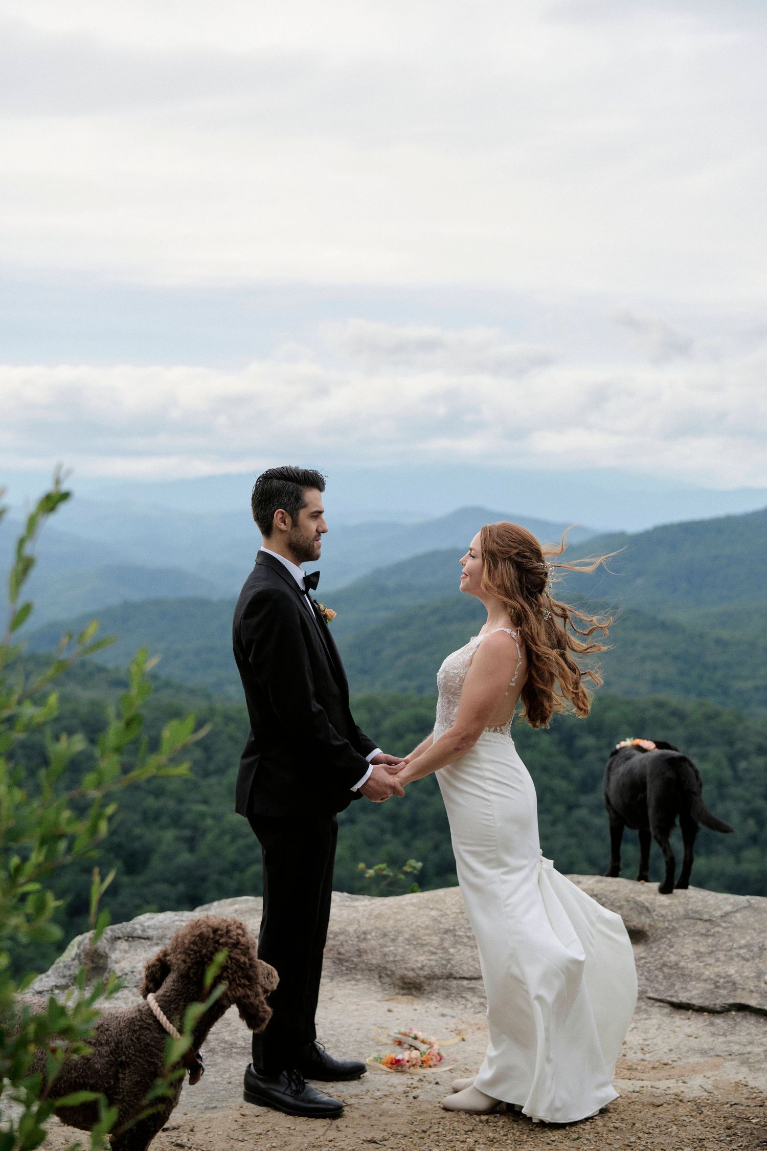 A wedding ceremony on a rocky mountain overlook with a dog watching in the background.