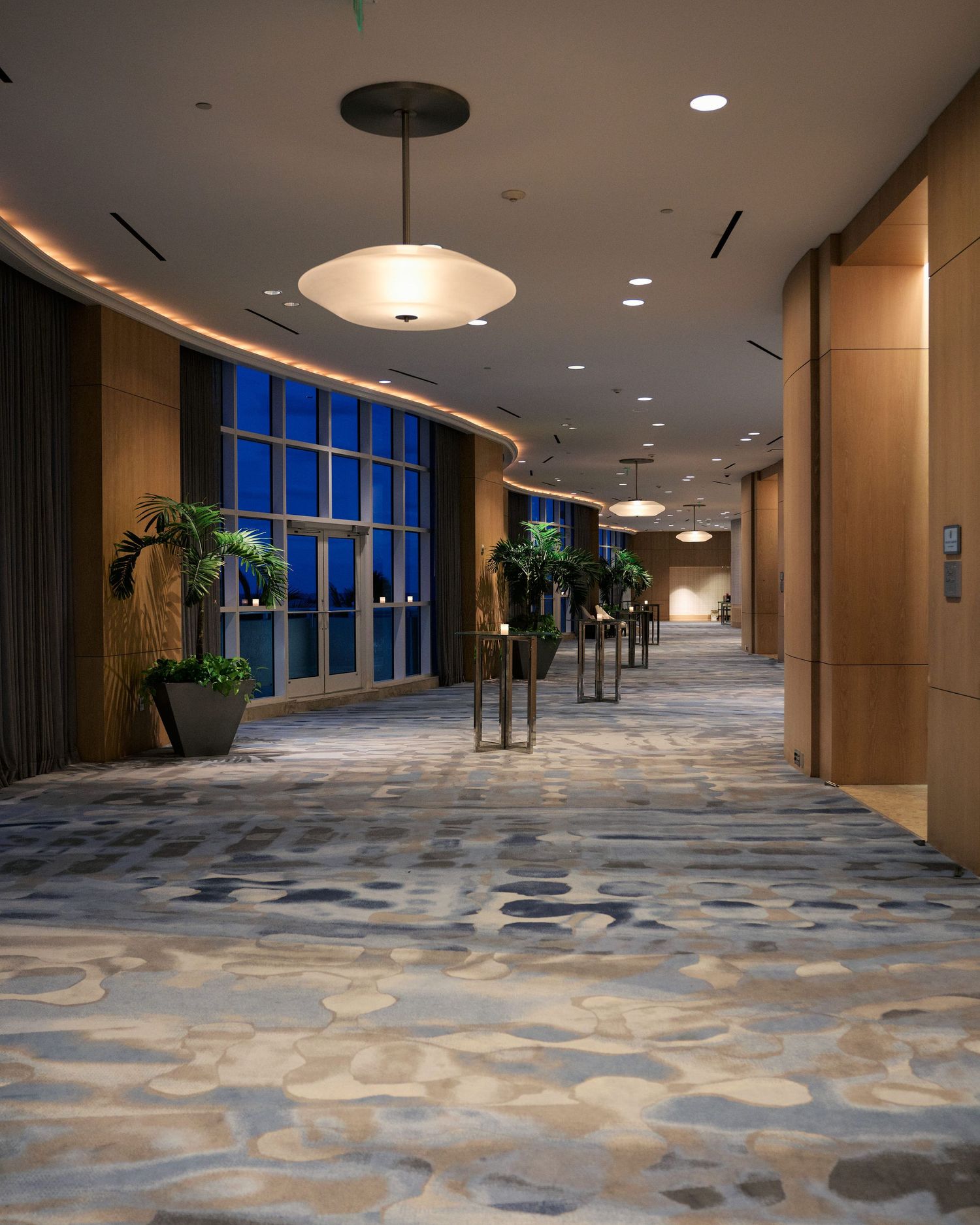Modern hotel corridor with curved windows, wooden panels, and decorative potted plants along a patterned carpet walkway.