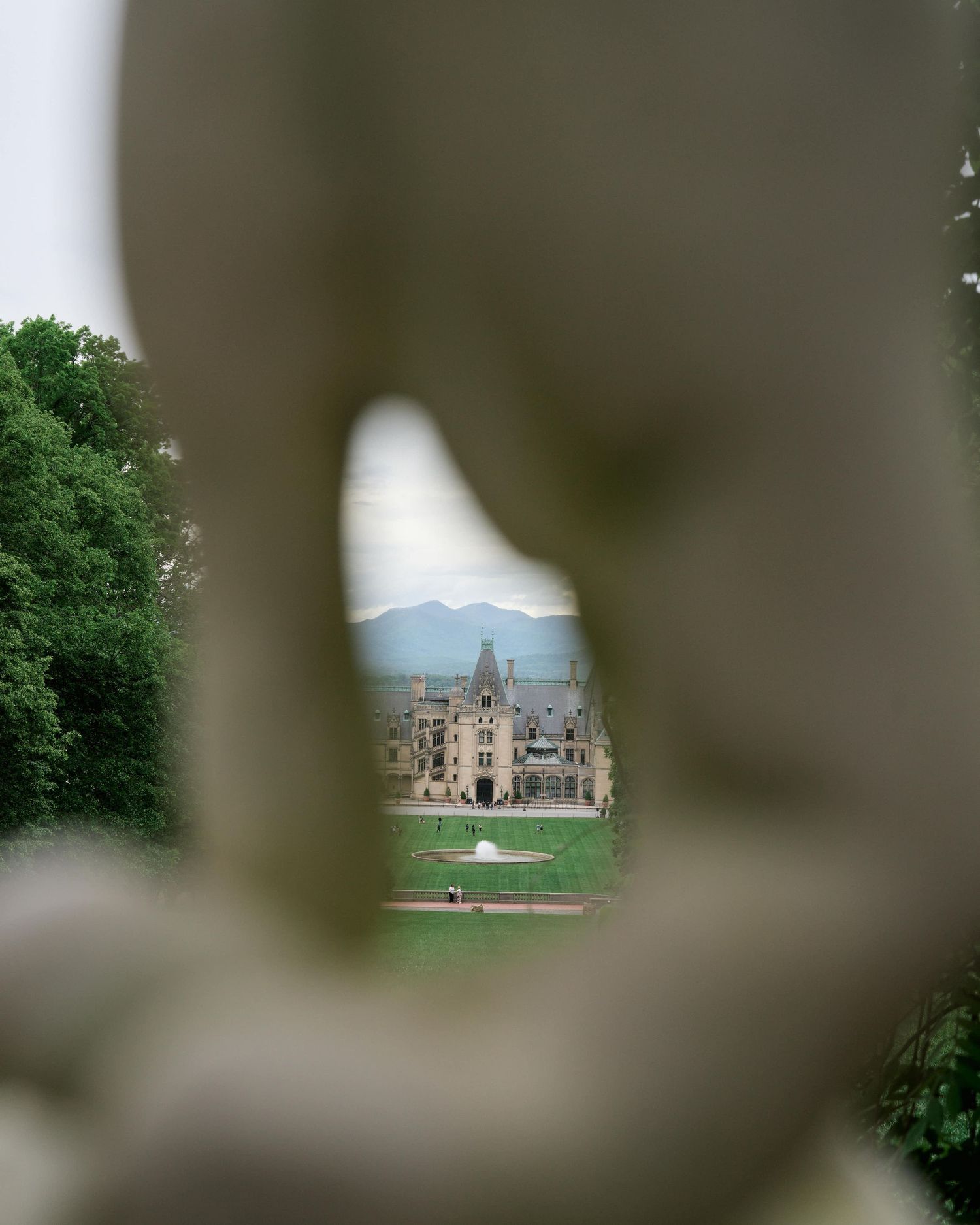 A blurred castle or mansion building visible through tree branches in the foreground.