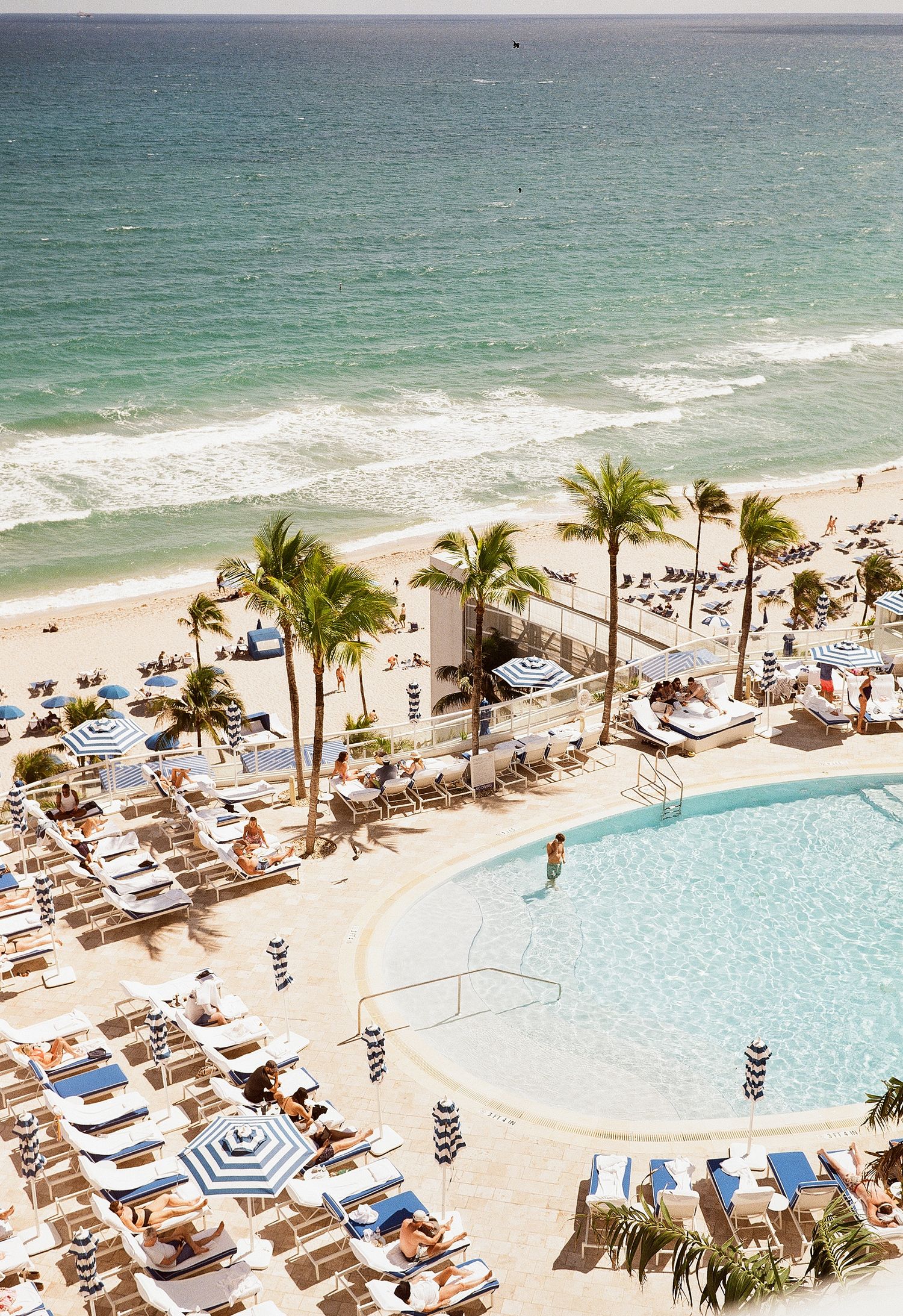 Aerial view of luxury beachfront resort pool with palm trees and loungers overlooking turquoise ocean.