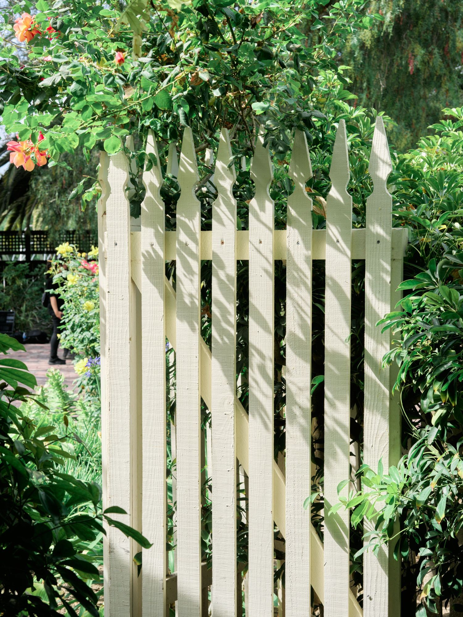 White picket gate surrounded by lush green foliage and orange flowers in garden setting.
