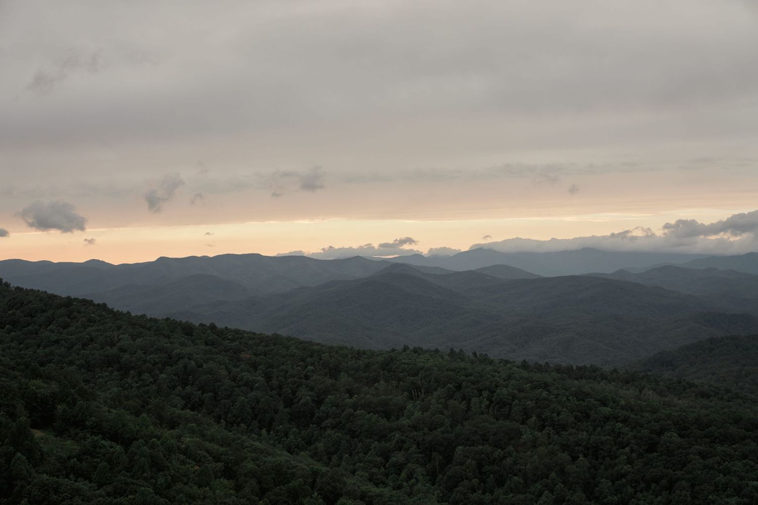 Sunset Elopement in Asheville, NC