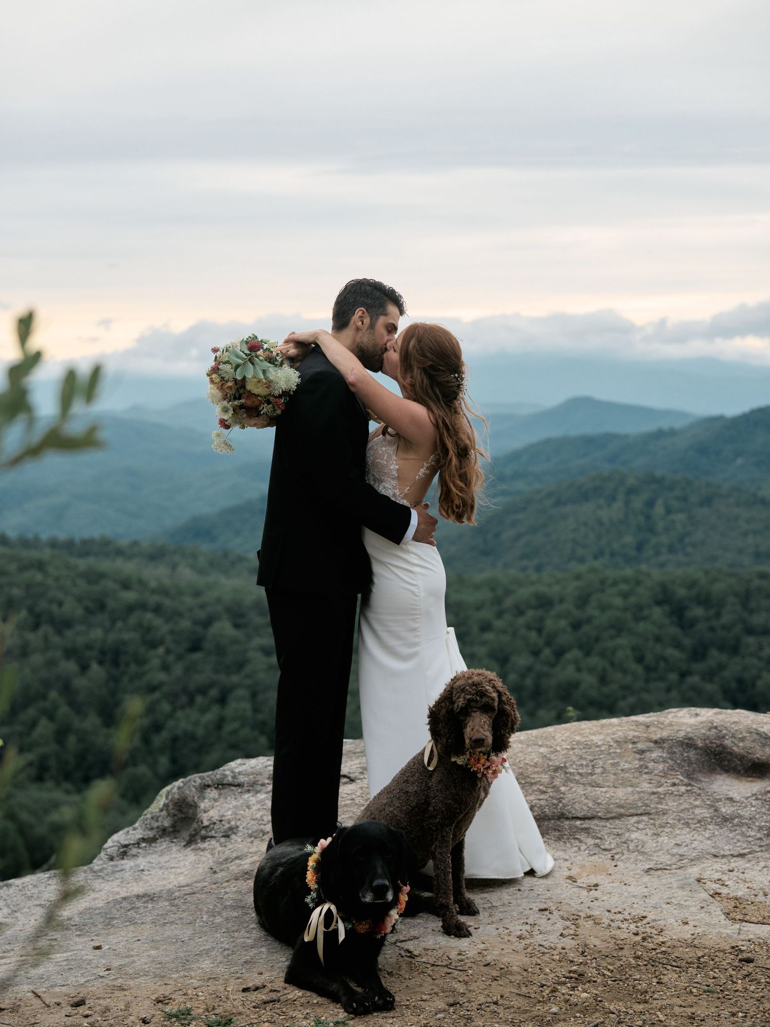 A wedding couple embraces on a mountain overlook with their brown dog sitting beside them at sunset.