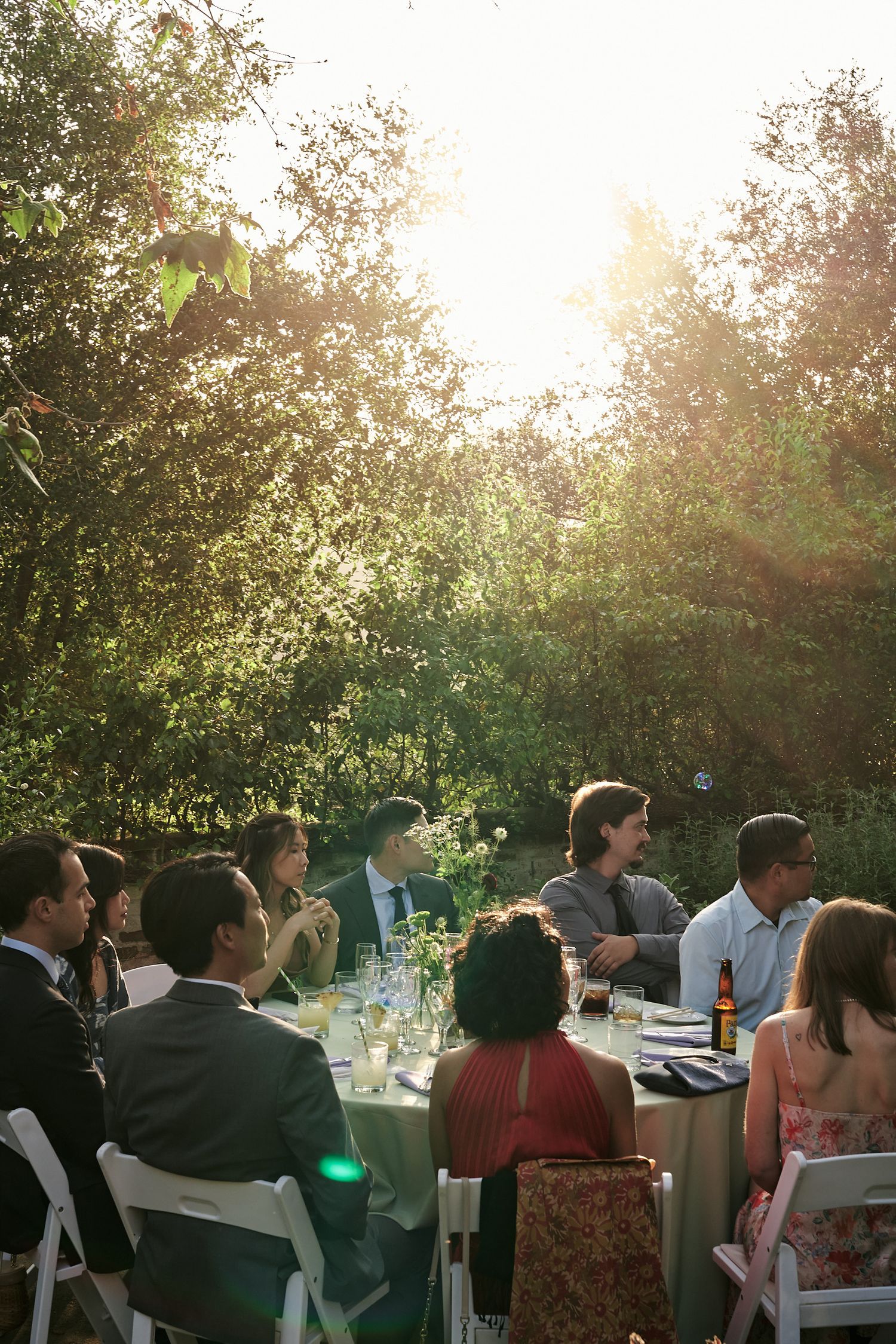 Golden sunlight illuminates an outdoor dinner party with guests seated at tables under trees.