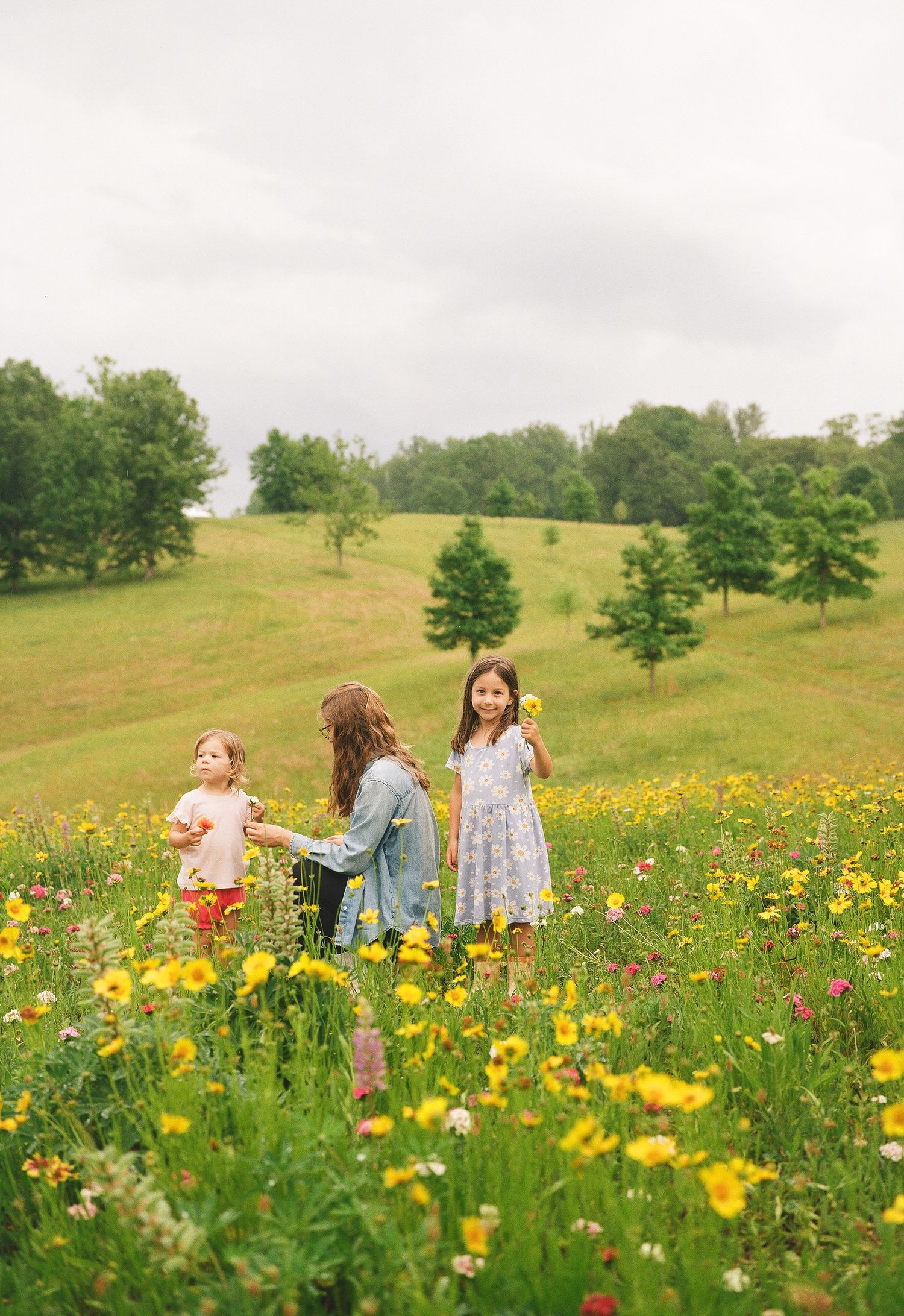 Three young girls playing in a vibrant wildflower meadow with yellow and pink blooms on a cloudy day.
