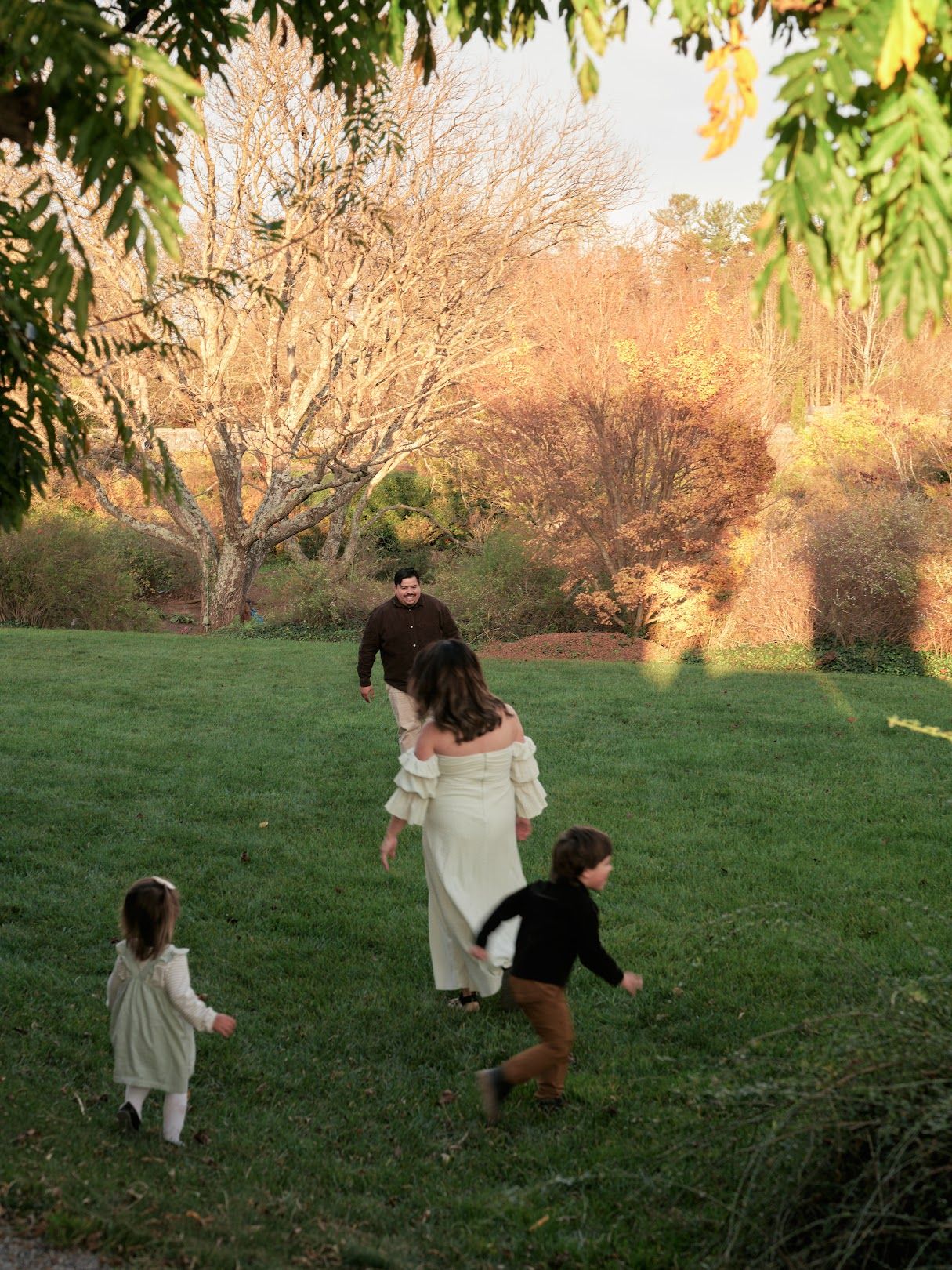 A sequence of playful moments captured in a grassy field at sunset with warm golden light filtering through trees.