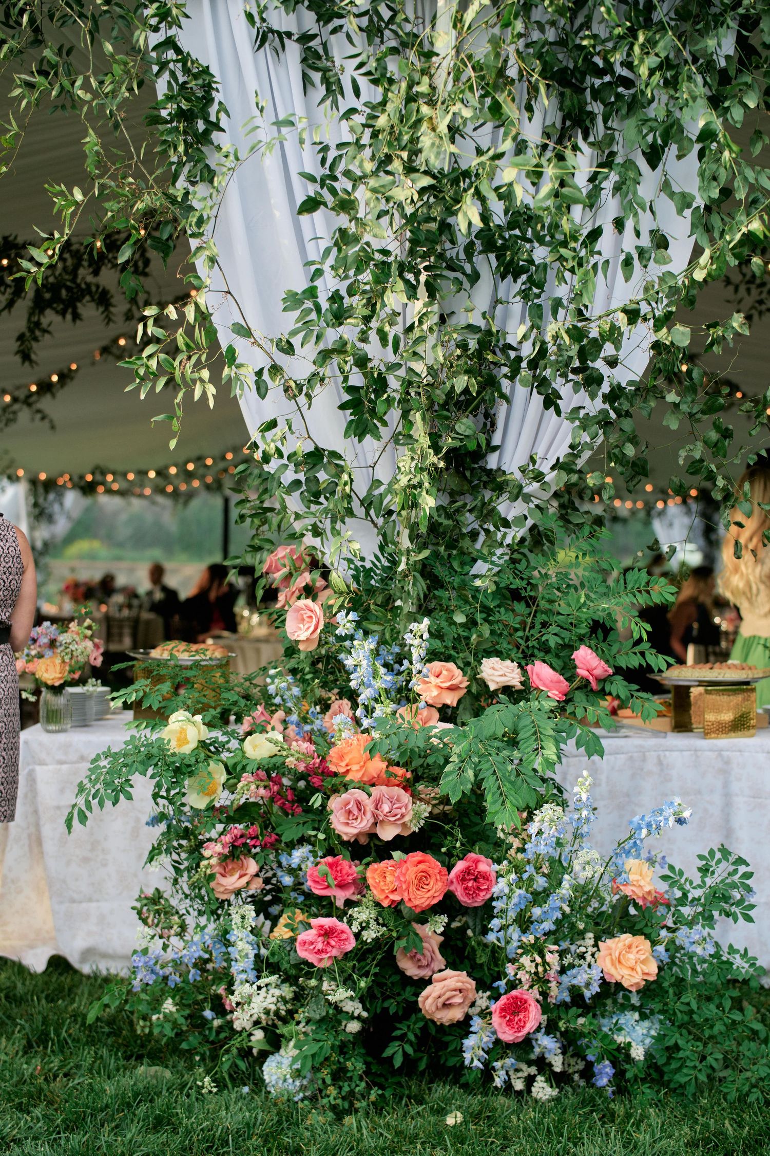 Pink and coral roses bloom against white drapery and lush greenery in an outdoor garden setting with string lights.