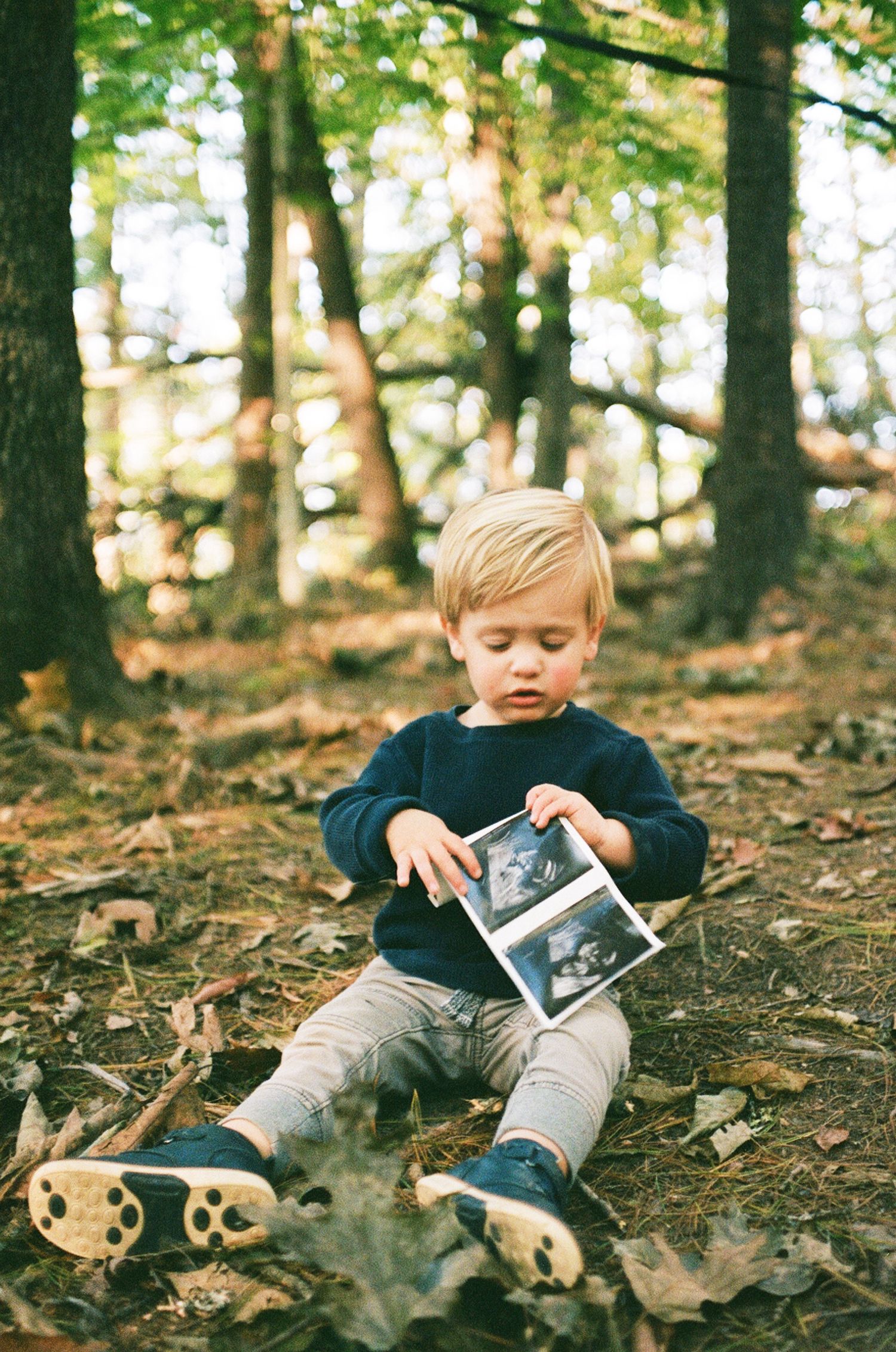 A young child in a dark sweater lies on a forest floor covered in fallen leaves while looking at photographs.