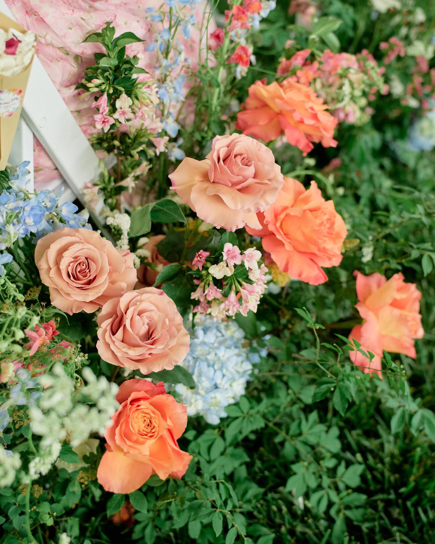 Delicate peach and coral roses bloom among lush green foliage in a vibrant garden setting.