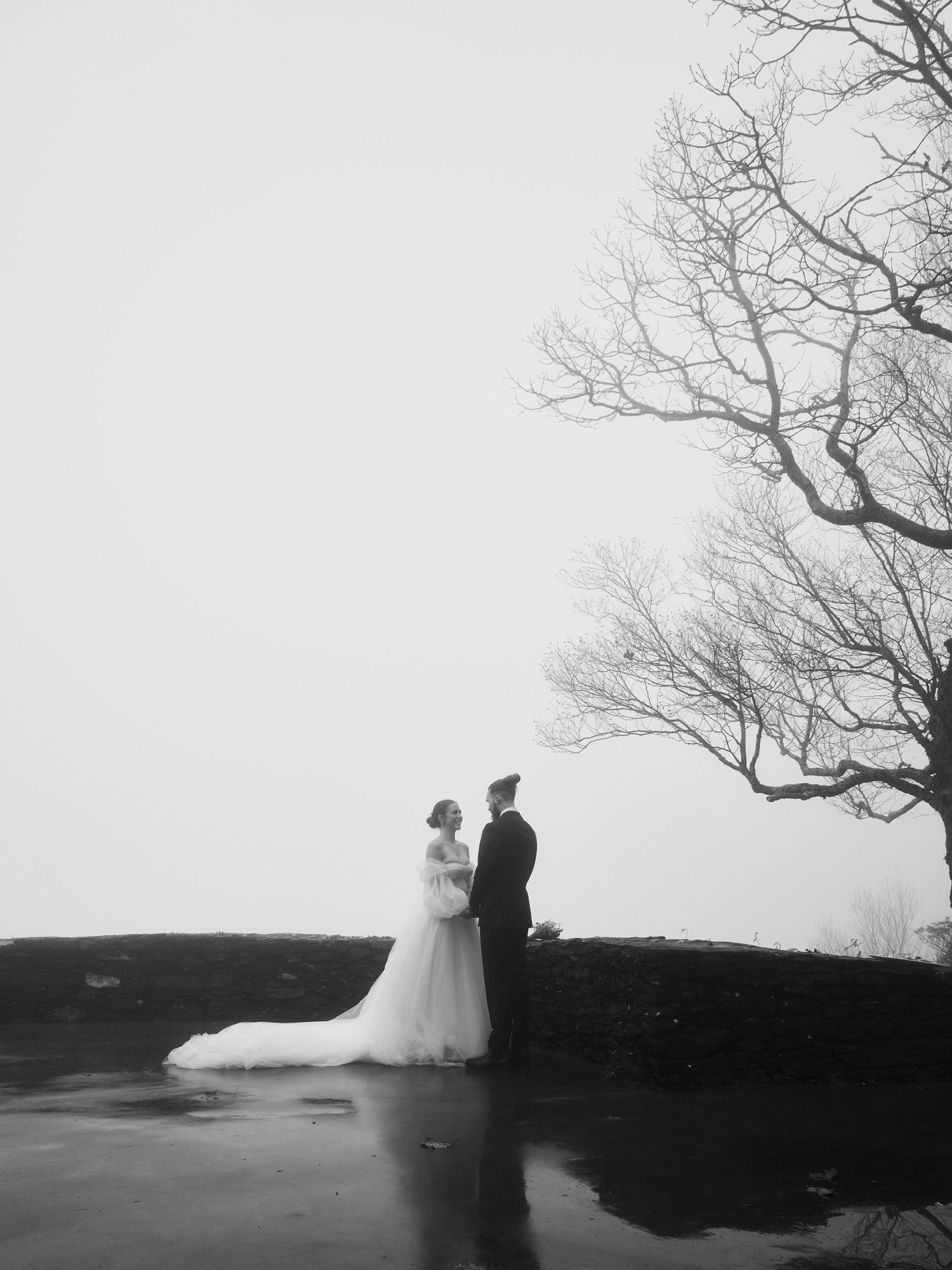A couple in wedding attire stands silhouetted against a misty sky with bare tree branches overhead.