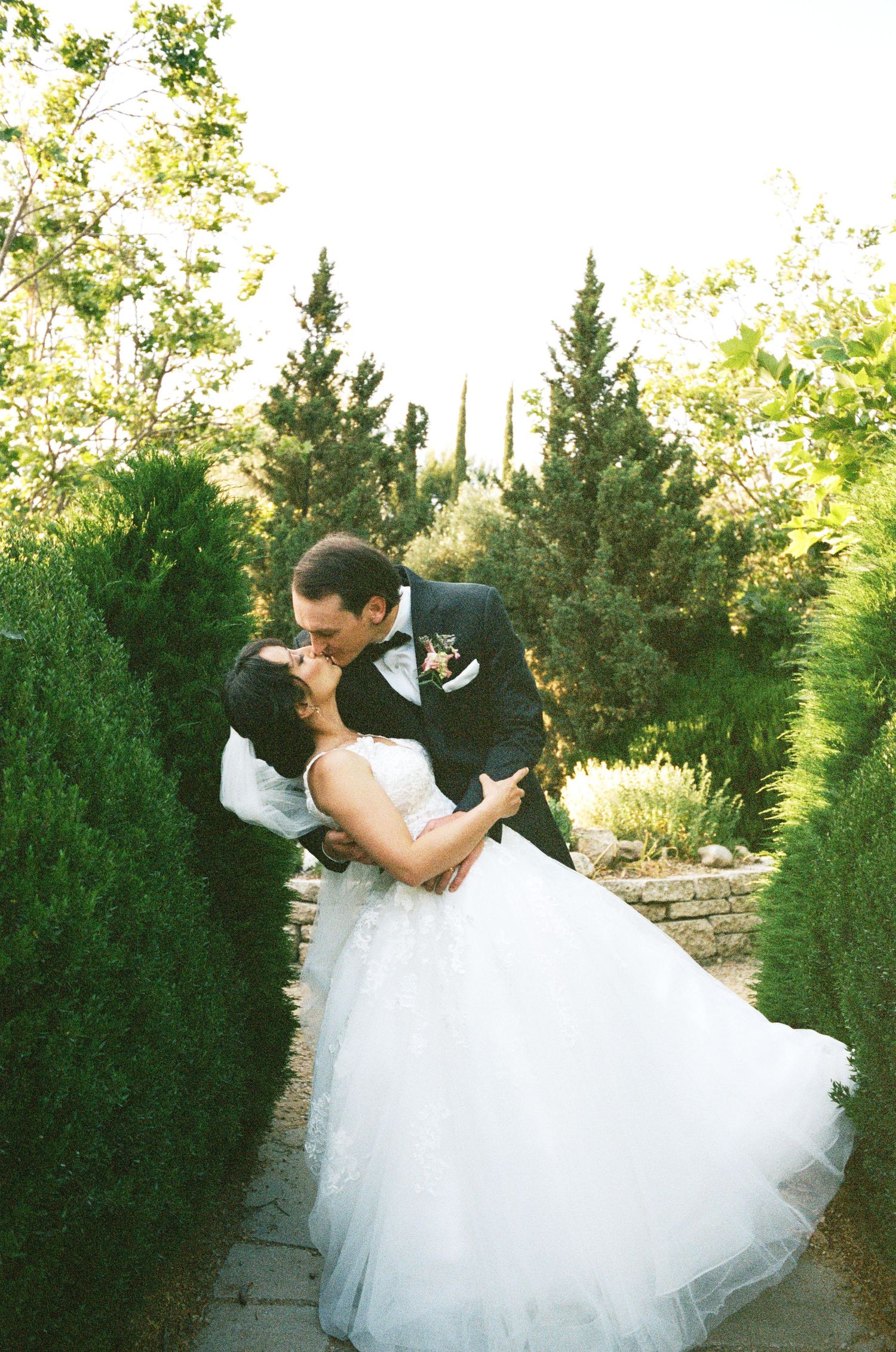 A romantic wedding couple embraces in a garden path surrounded by evergreen trees.
