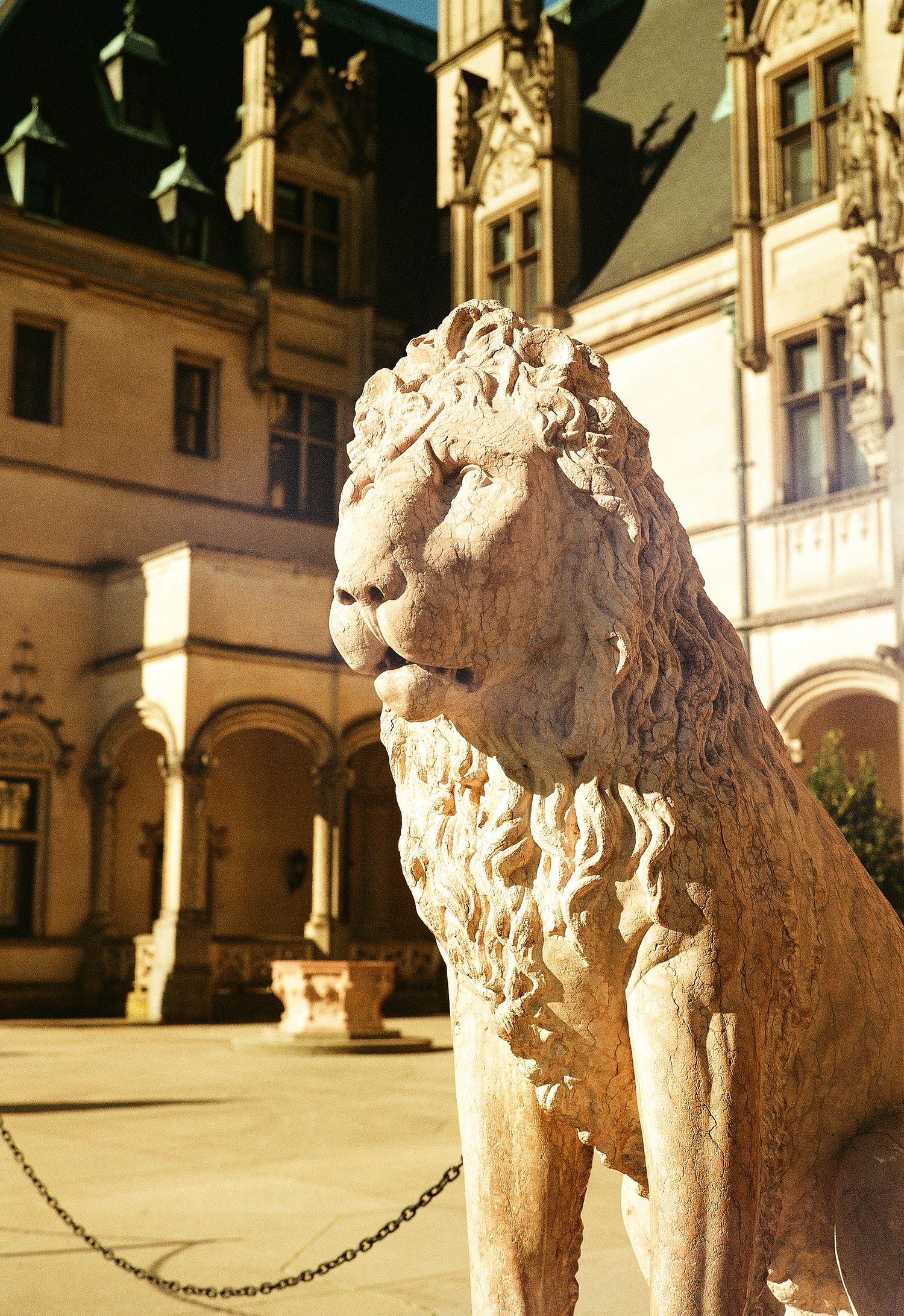 Stone lion statue guards the courtyard of a historic European-style mansion.