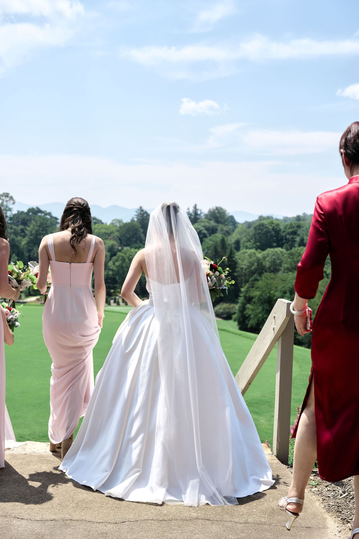 A bride and bridesmaids in pink dresses admire the view from a scenic overlook.