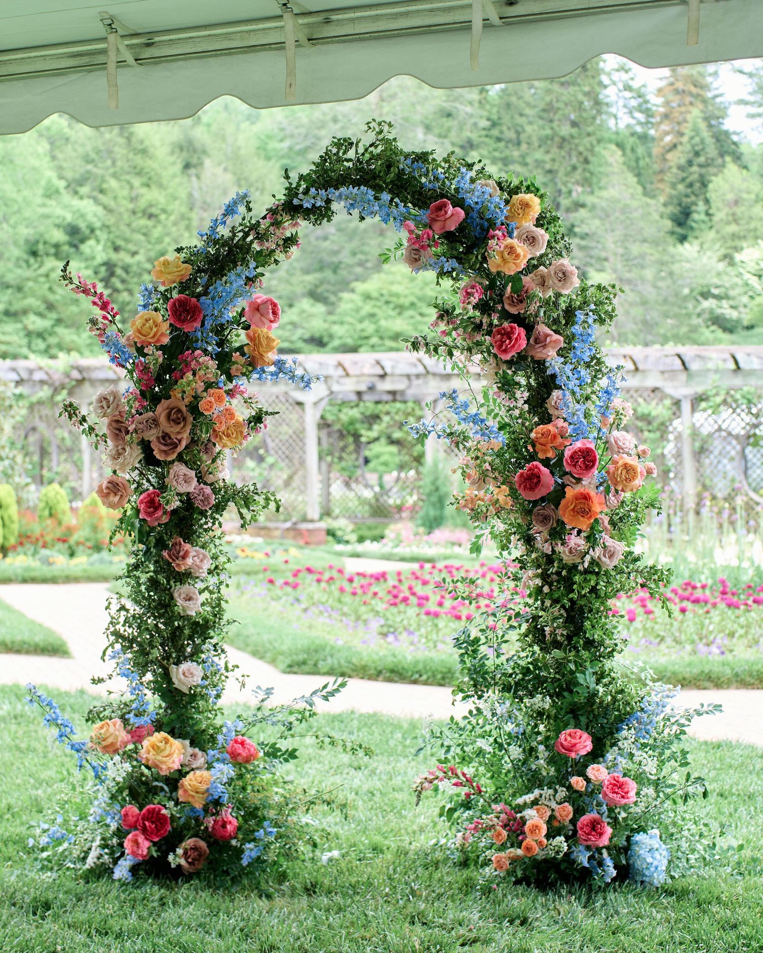 A lush floral wedding arch with vibrant roses, blue delphiniums and greenery stands in a garden setting.