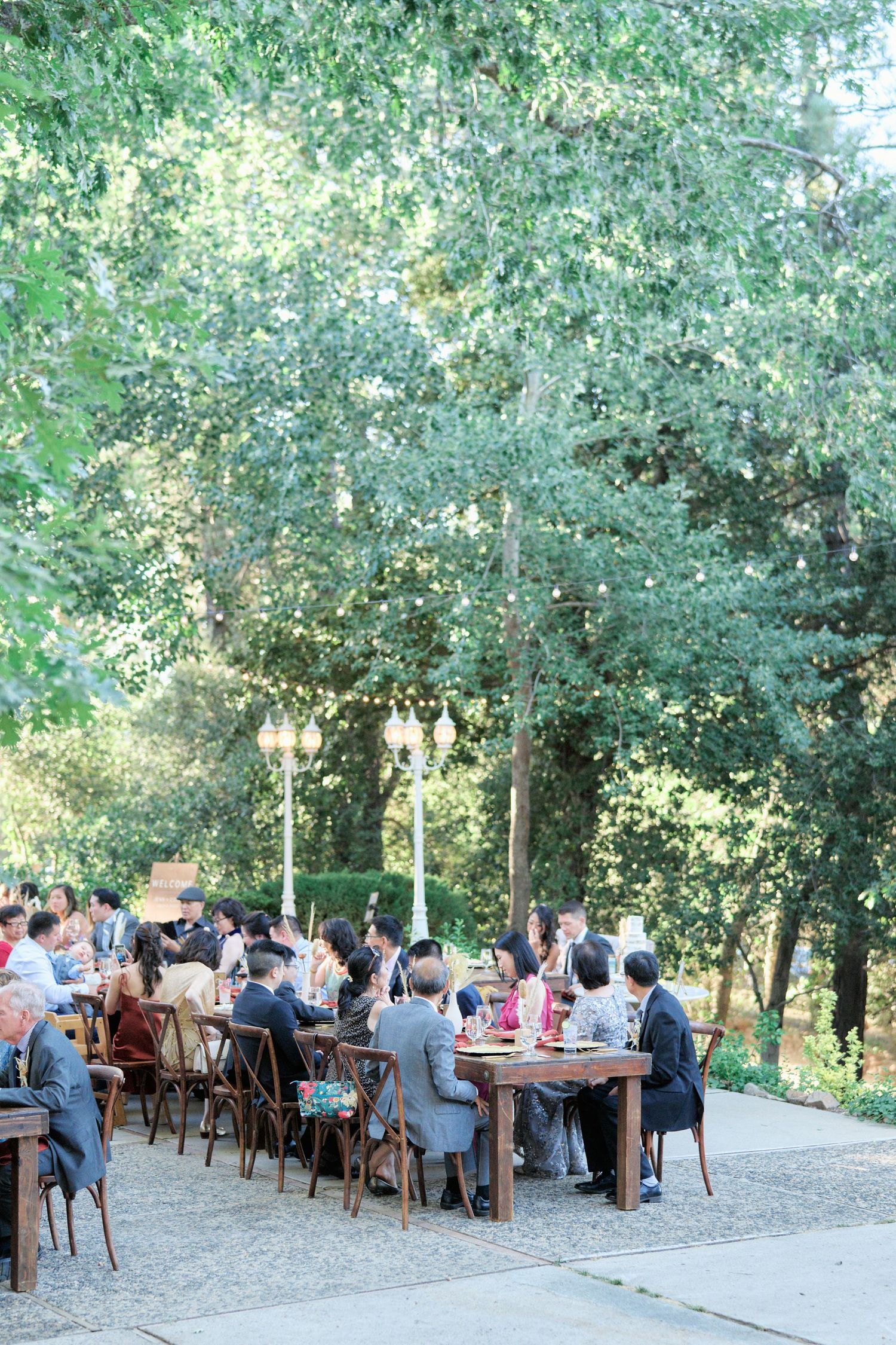 Outdoor reception dinner setup with long tables under a canopy of trees.