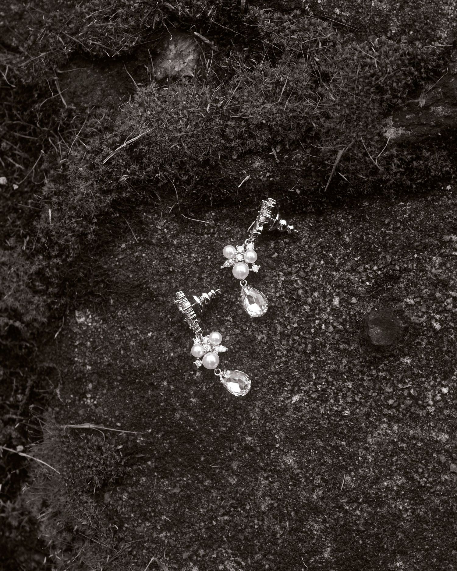 A series of small white wildflowers growing in dark soil captured in black and white photography.