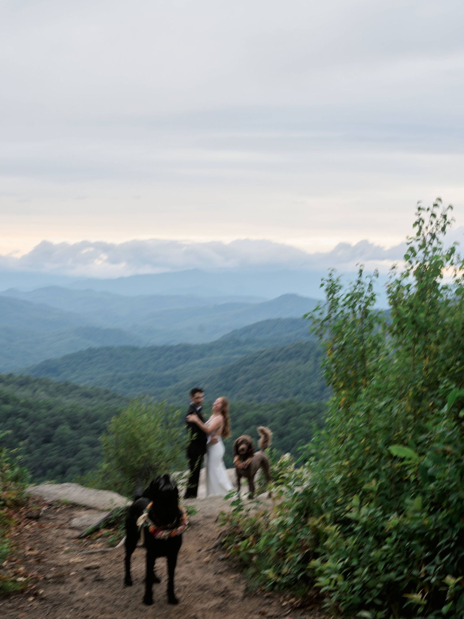 A scenic mountain wedding ceremony on a hiking trail with dogs joining the celebration against misty blue ridges.