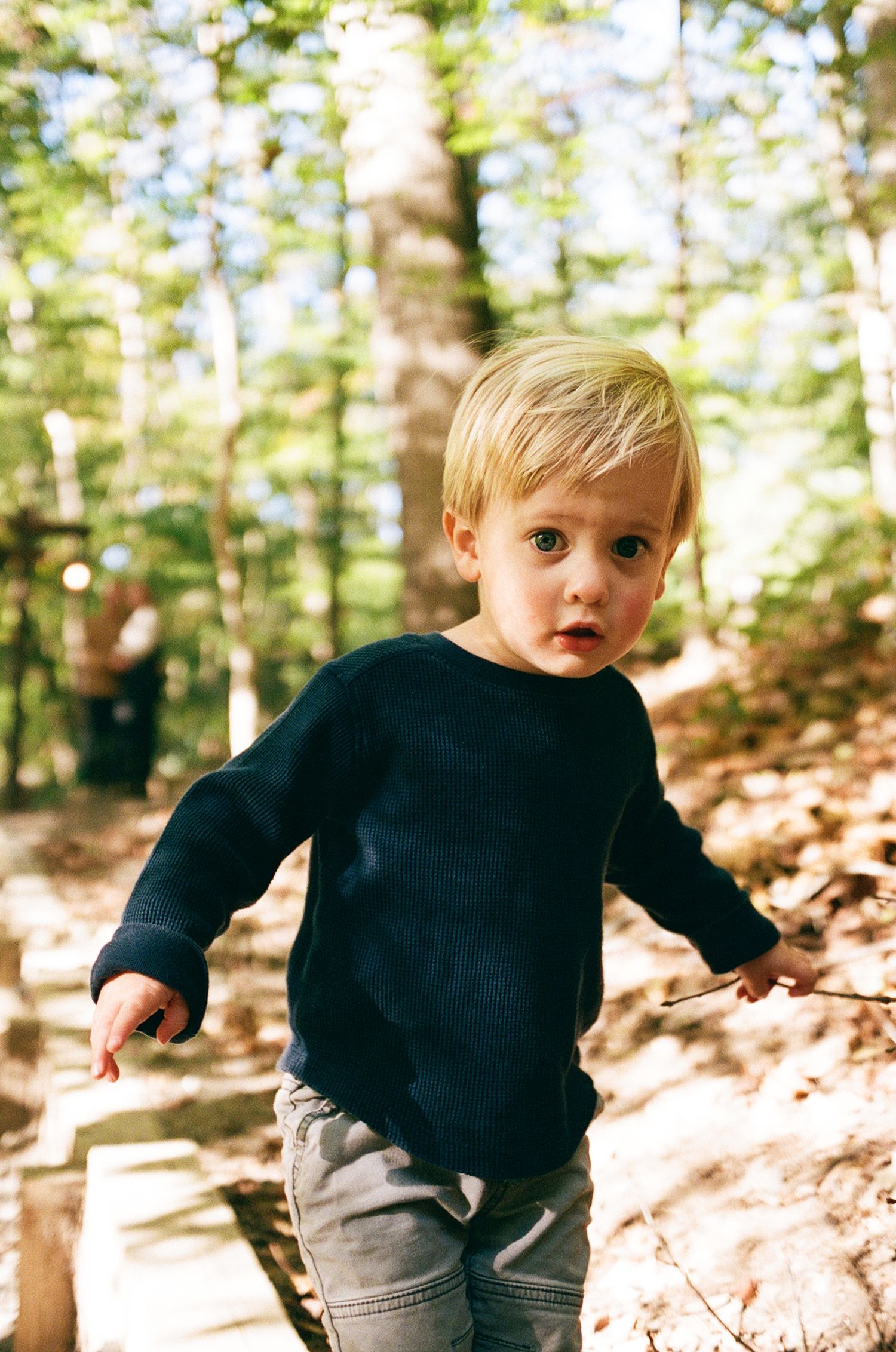 A small child in a navy sweater explores a sunlit forest trail on an autumn day.