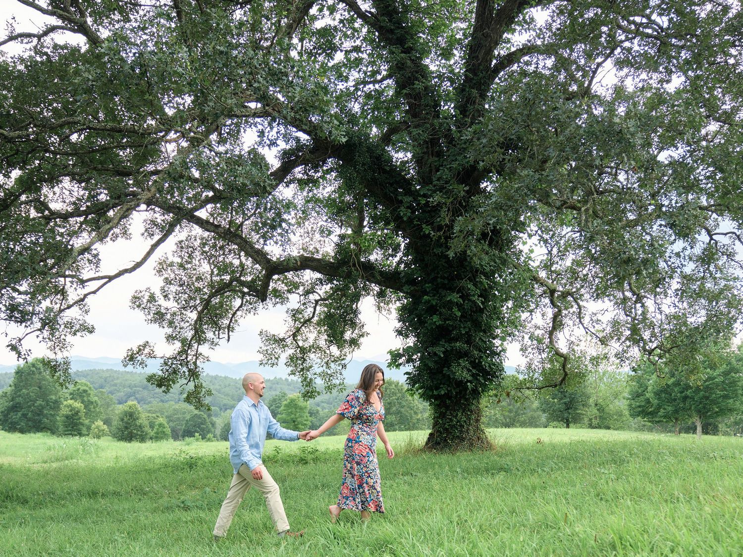 Couple walking hand in hand under massive tree in green countryside meadow.