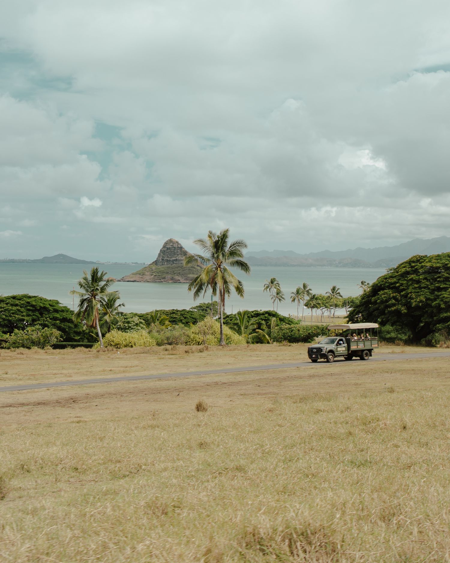 Scenic landscape view of tropical coastline with palm trees and mountains in distance.