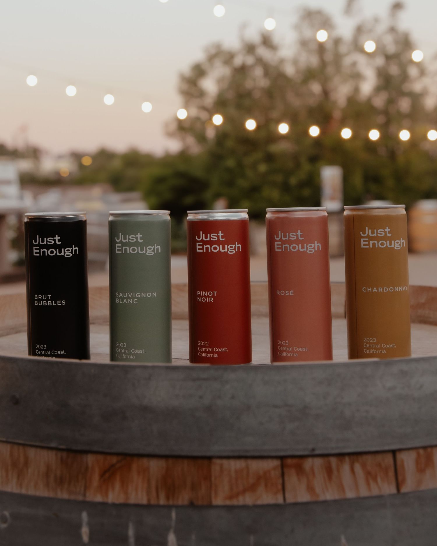 Row of minimalist product bottles in earth tones displayed on wooden surface with string lights.