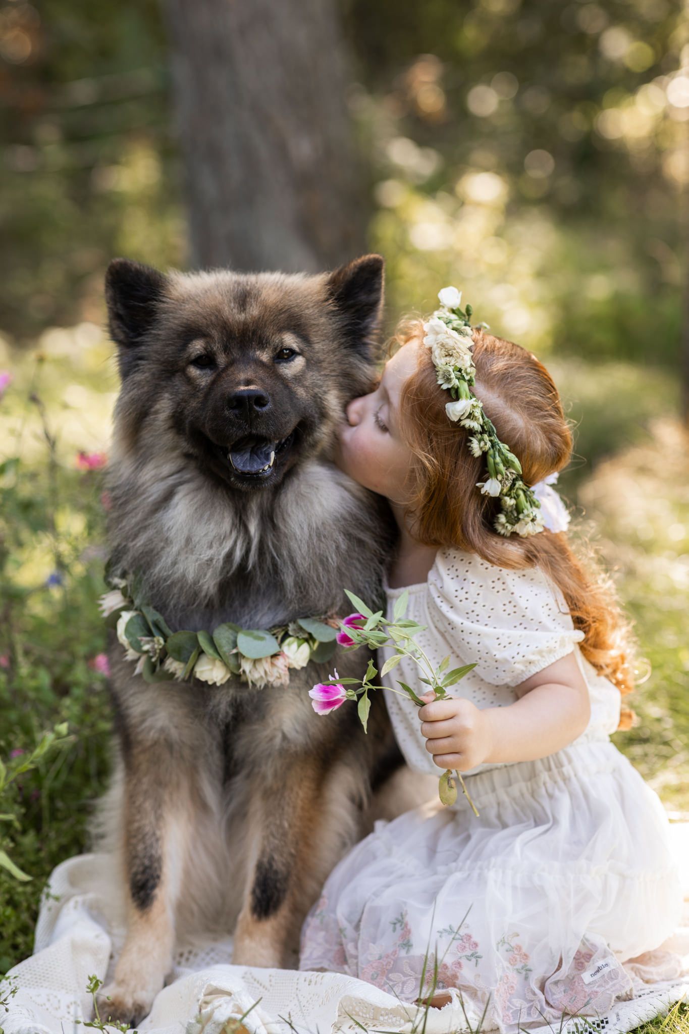 Barnfotografering i Saxtorpsskogen där en 4-årig flicka sitter på en filt i gräset med sin Eurasierhund som hon pussar på kinden.