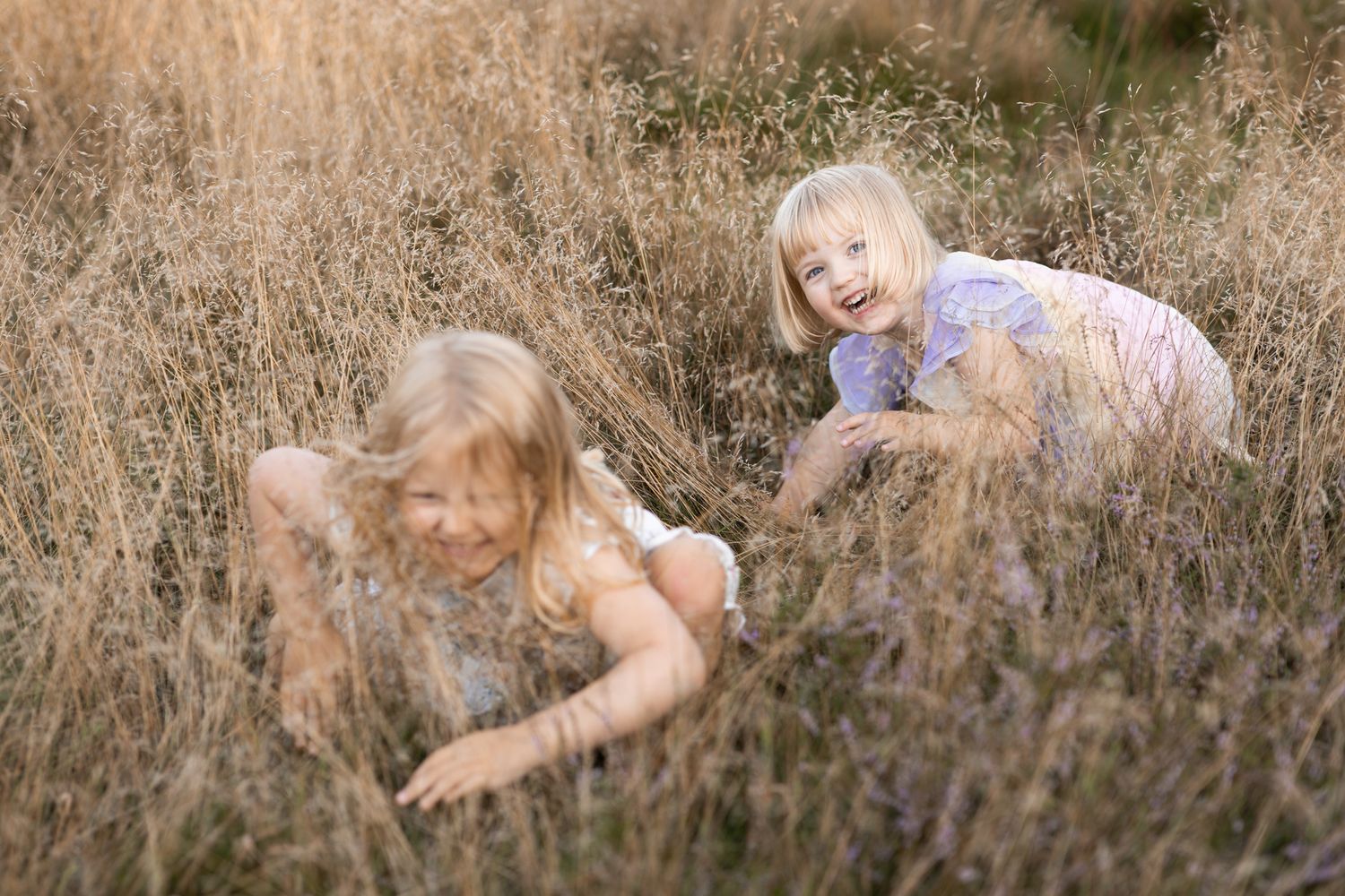 Familjefotografering i Skåne där barnen leker kurragömma i högt gräs och busar glatt med fotograf Amira Rosell.