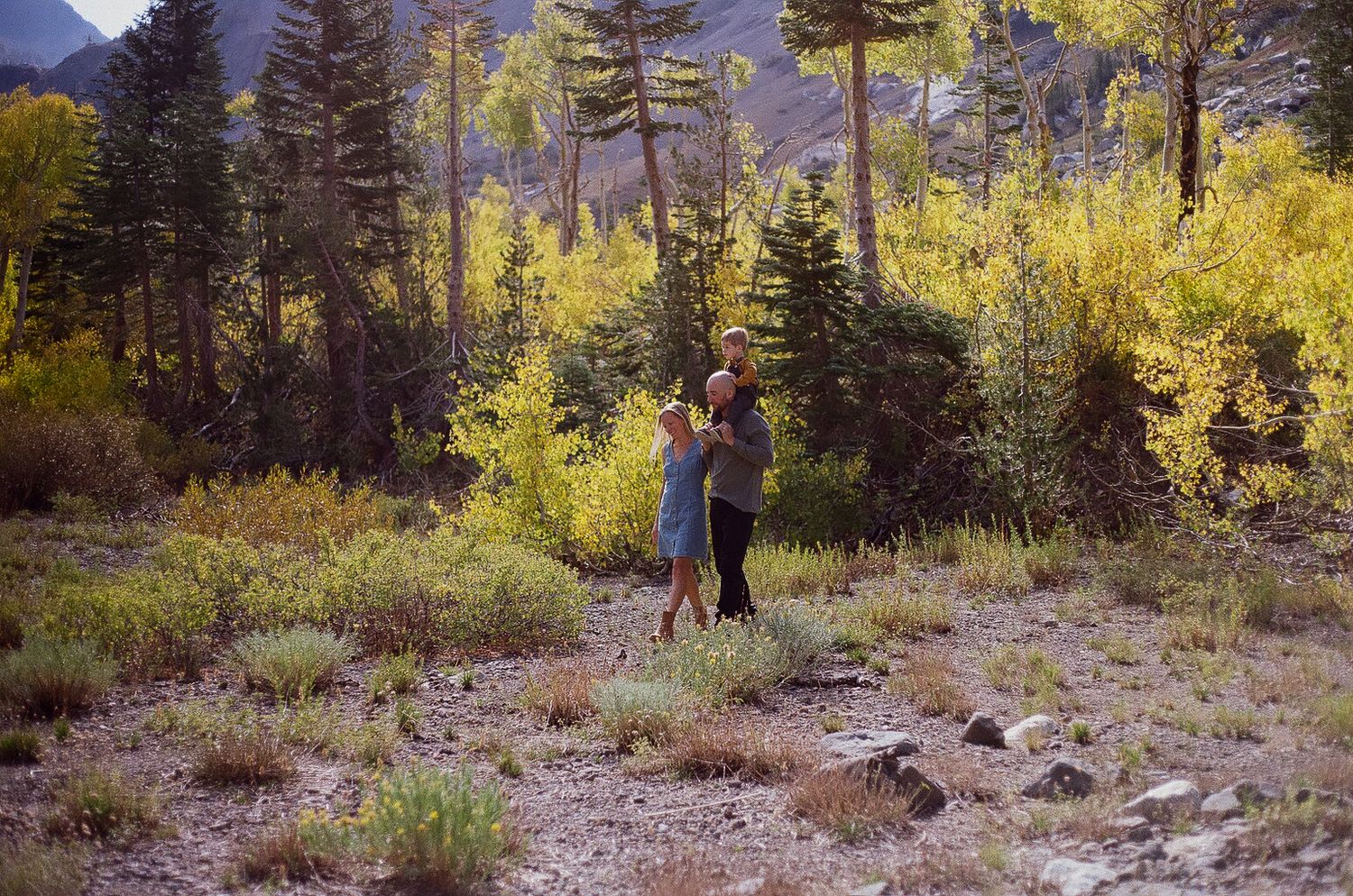 Couple standing together on a rocky meadow trail surrounded by golden aspen trees and tall evergreens with mountains in the background.