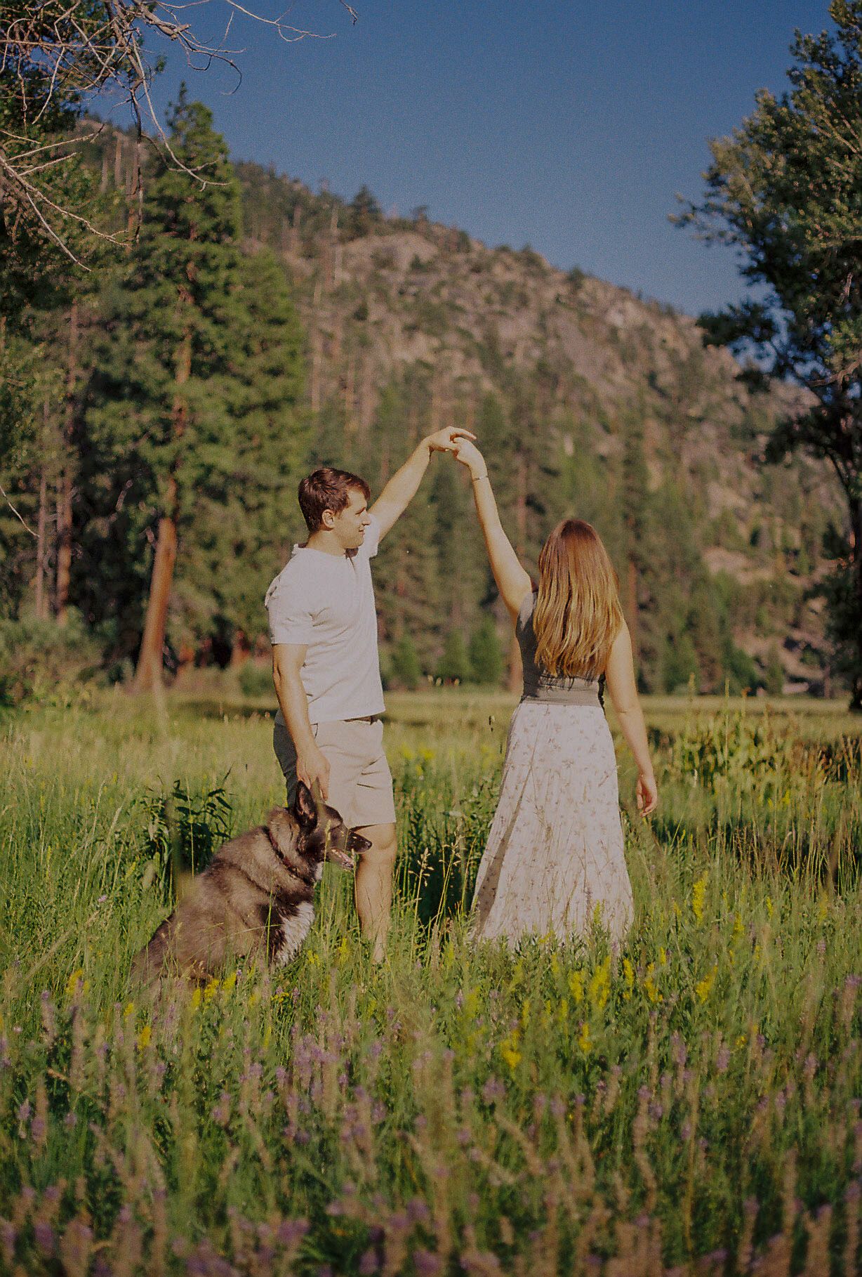 Couple dancing hand in hand in a sunlit wildflower meadow with their dog, surrounded by evergreen trees and mountains.