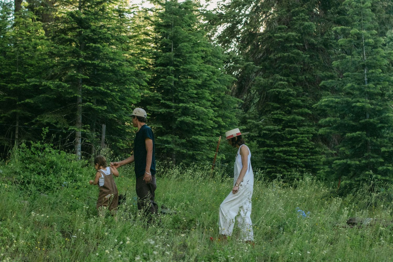 A family of three walks hand in hand through a sunlit grassy meadow beside tall evergreen trees in a peaceful mountain forest.
