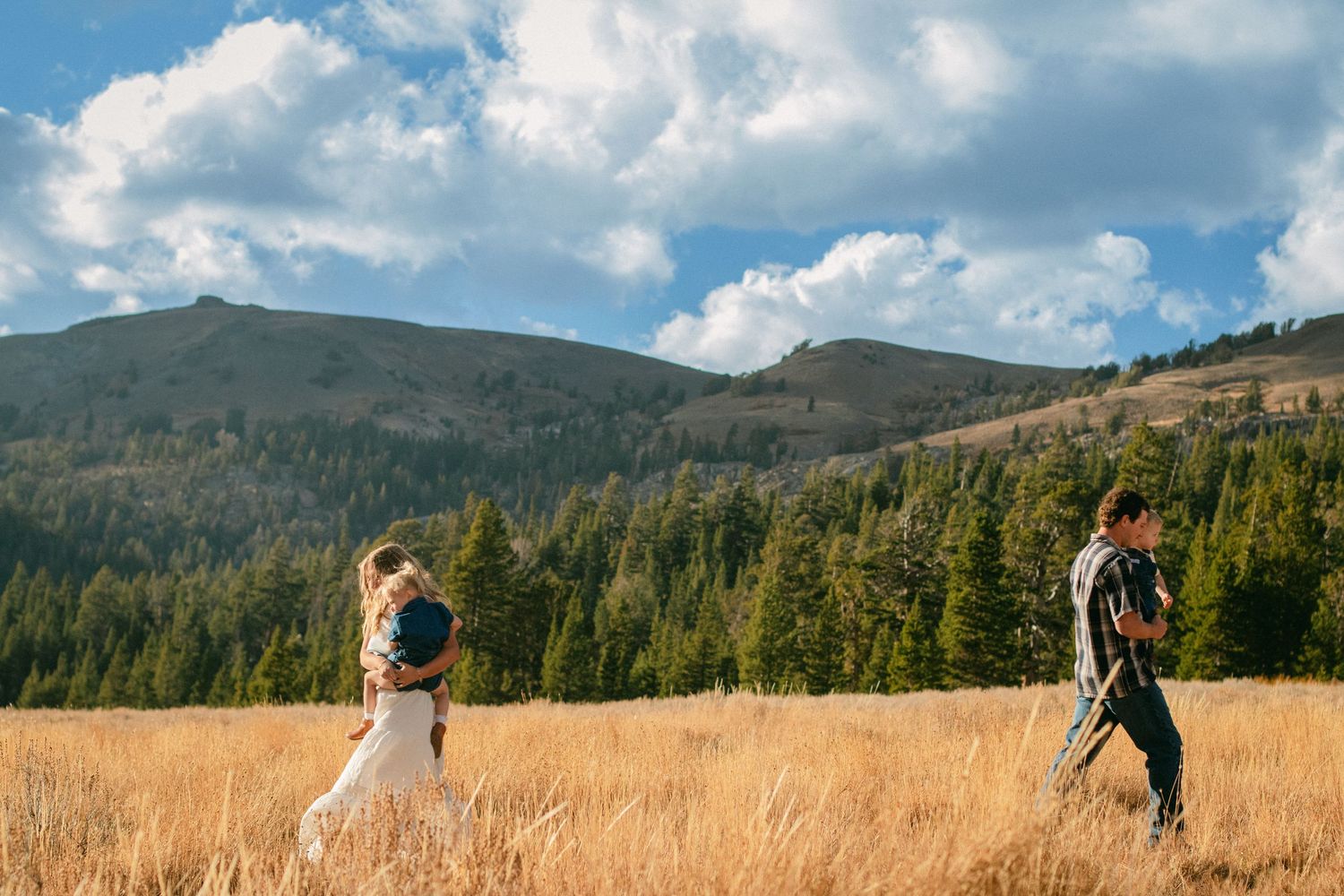 Two hikers walk through a golden grassy meadow with evergreen forest, rolling mountains and a bright blue sky with clouds behind them.