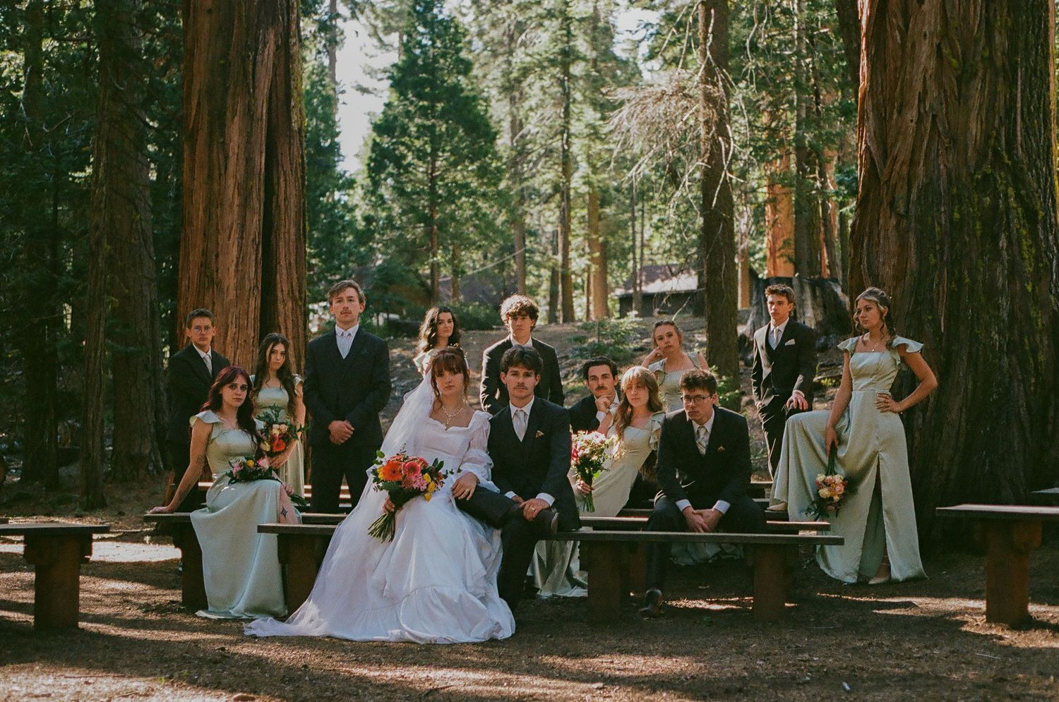 Bride and groom pose with their wedding party among towering redwood trees, with bridesmaids in white gowns and groomsmen in dark suits.