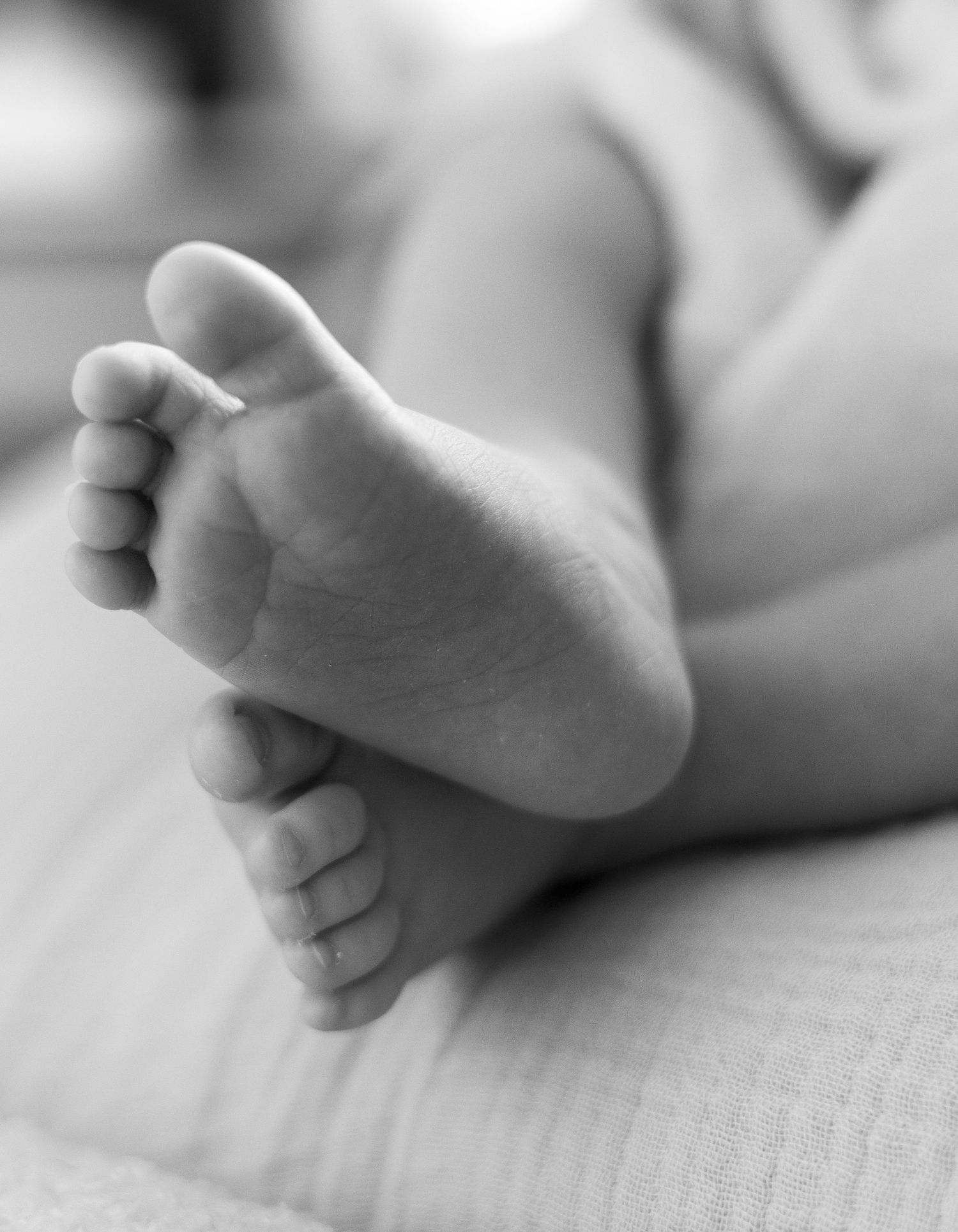 Black and white close-up of a newborn baby's tiny feet