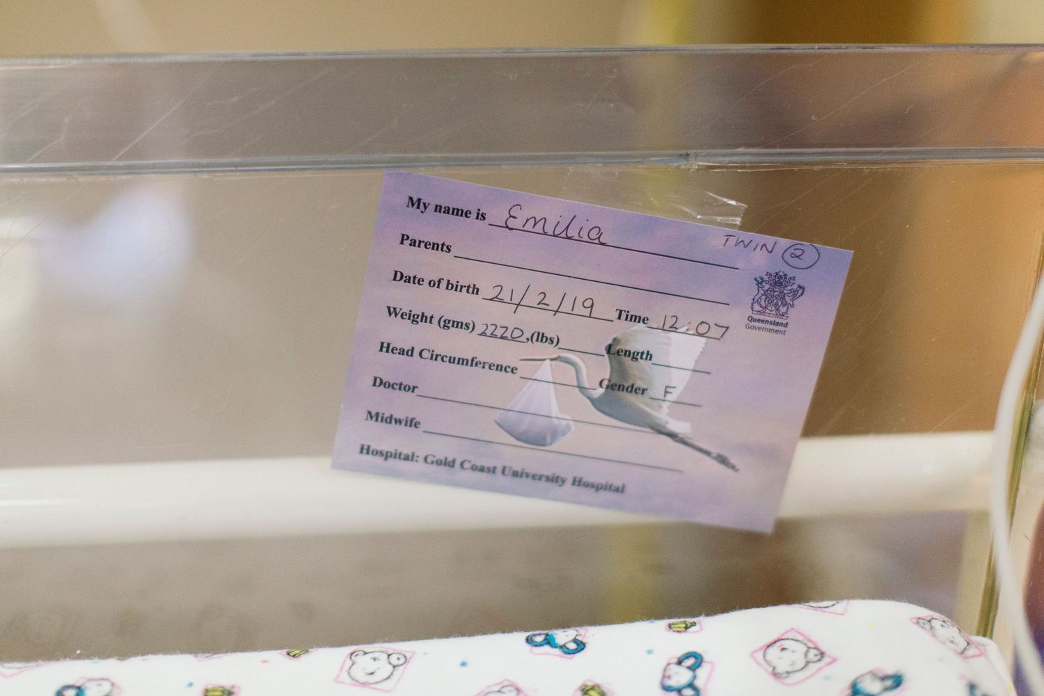Newborn baby name card for Emilia at Gold Coast University Hospital, showing birth date and weight details.