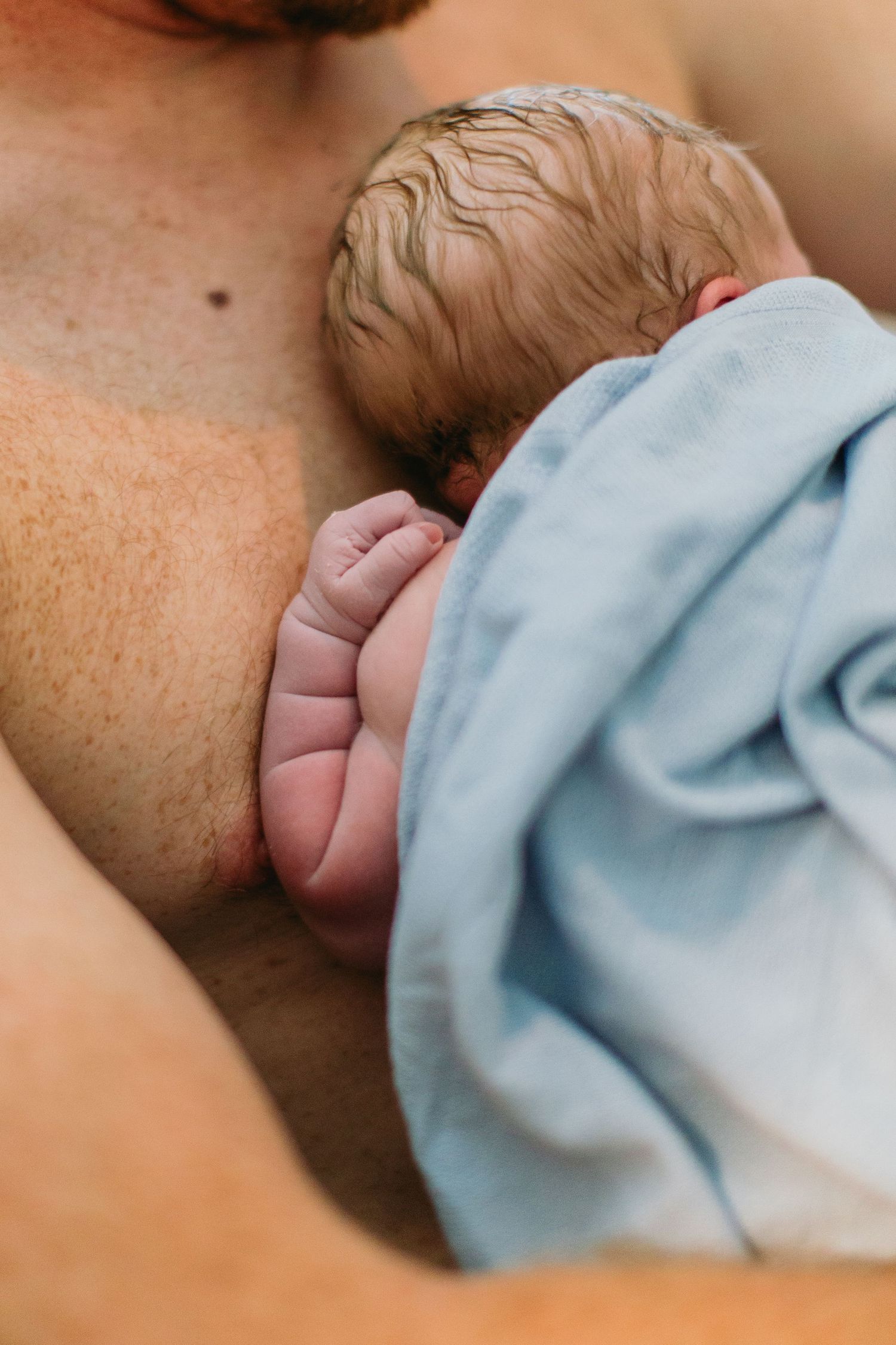 Close-up of newborn baby with wet hair resting against parent's chest wrapped in blue blanket.