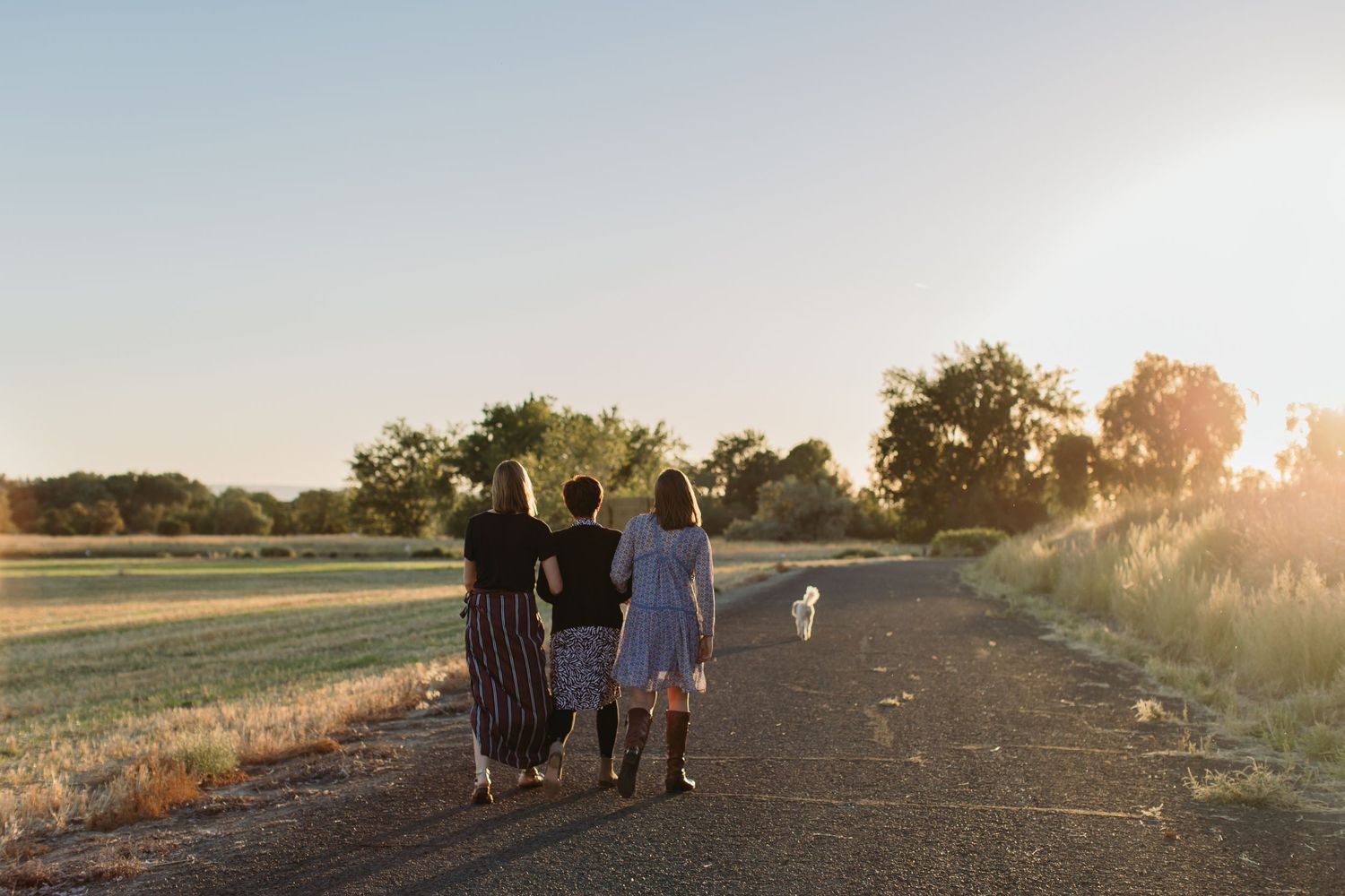 Three women and a dog walk down a rural path at sunset, surrounded by green fields and trees.