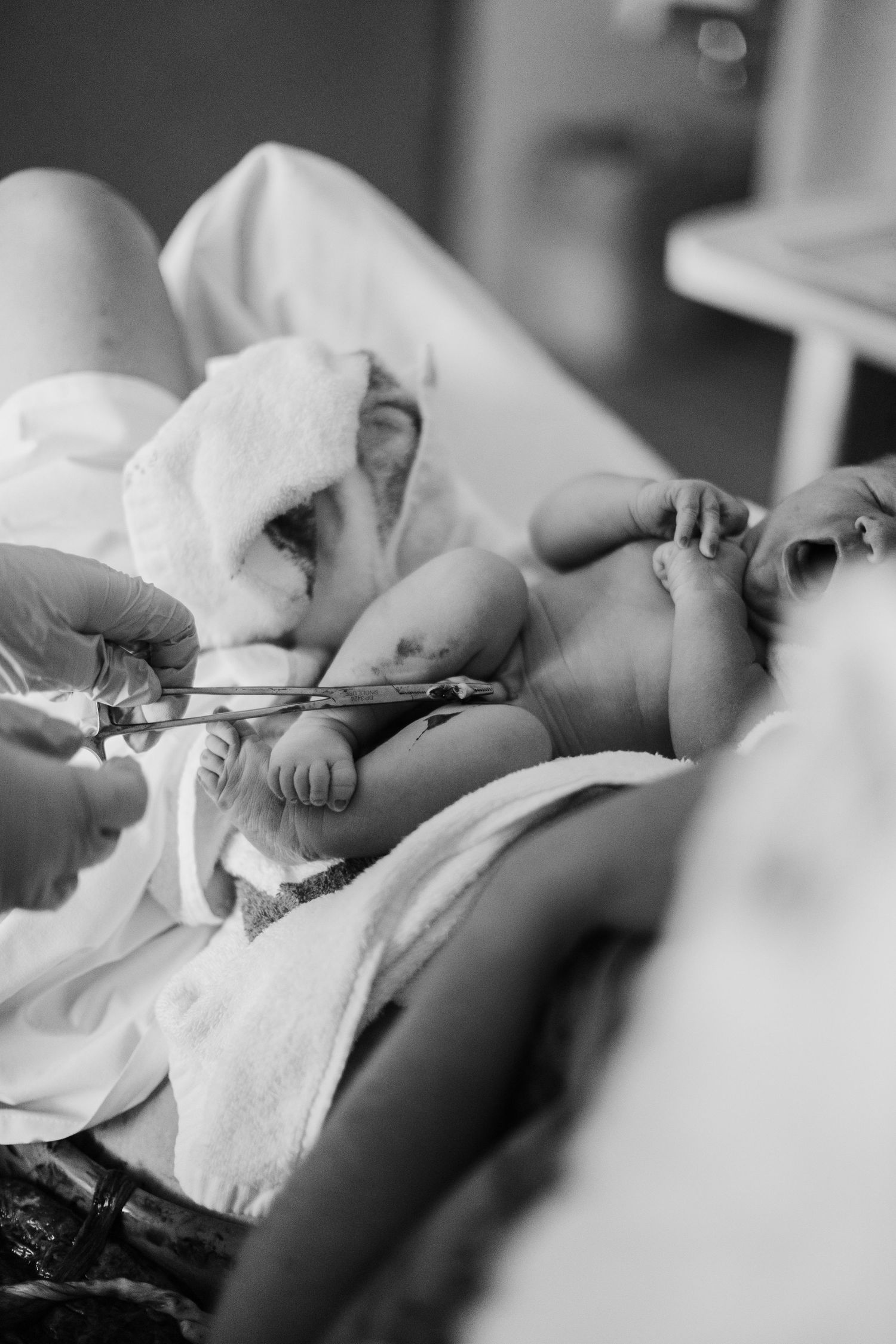 Medical professional cuts the umbilical cord of a newborn baby wrapped in white towels after delivery.