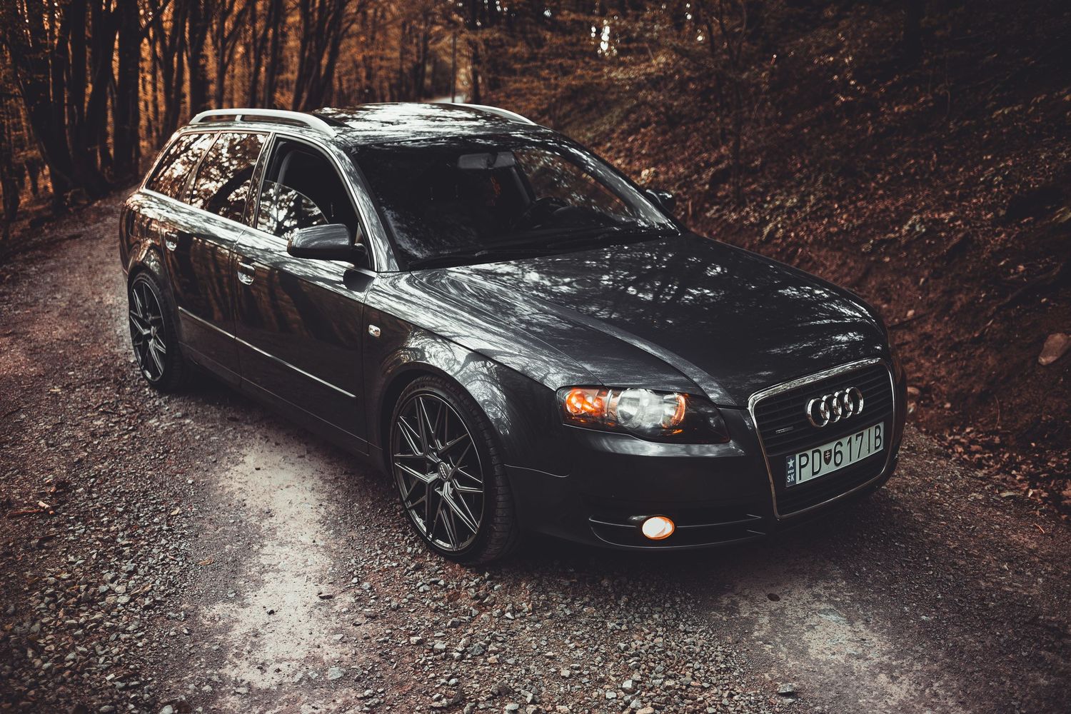 tmavé auto na lesnej ceste