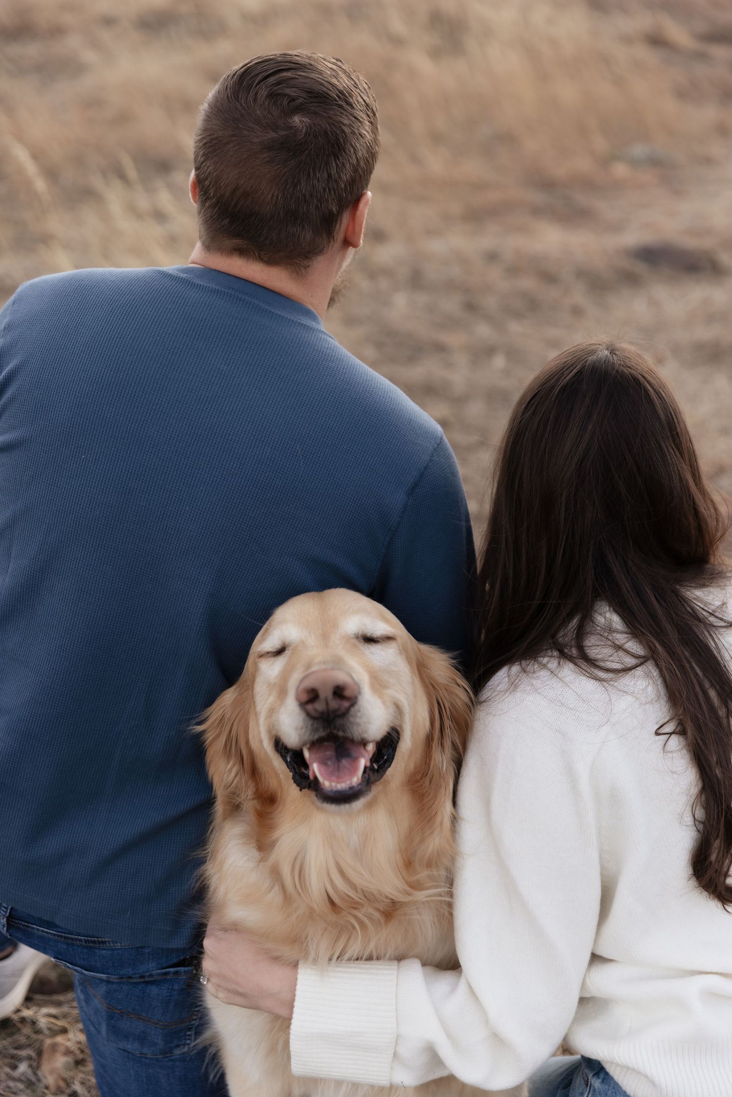 Couple sitting with a happy golden retriever in a golden field, viewed from behind.
