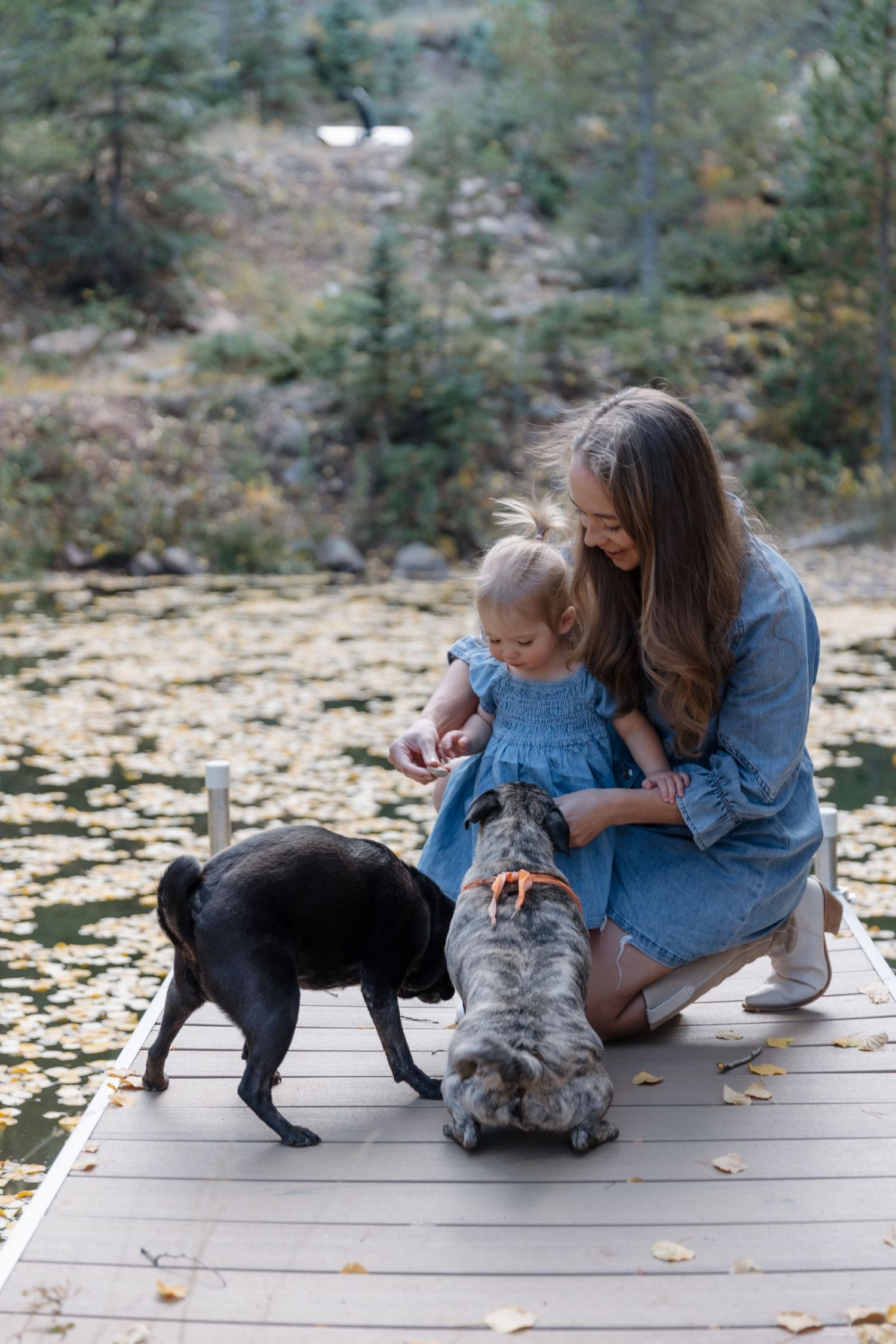 Young mother in denim dress crouching with toddler and two dogs on a wooden dock by a pond.