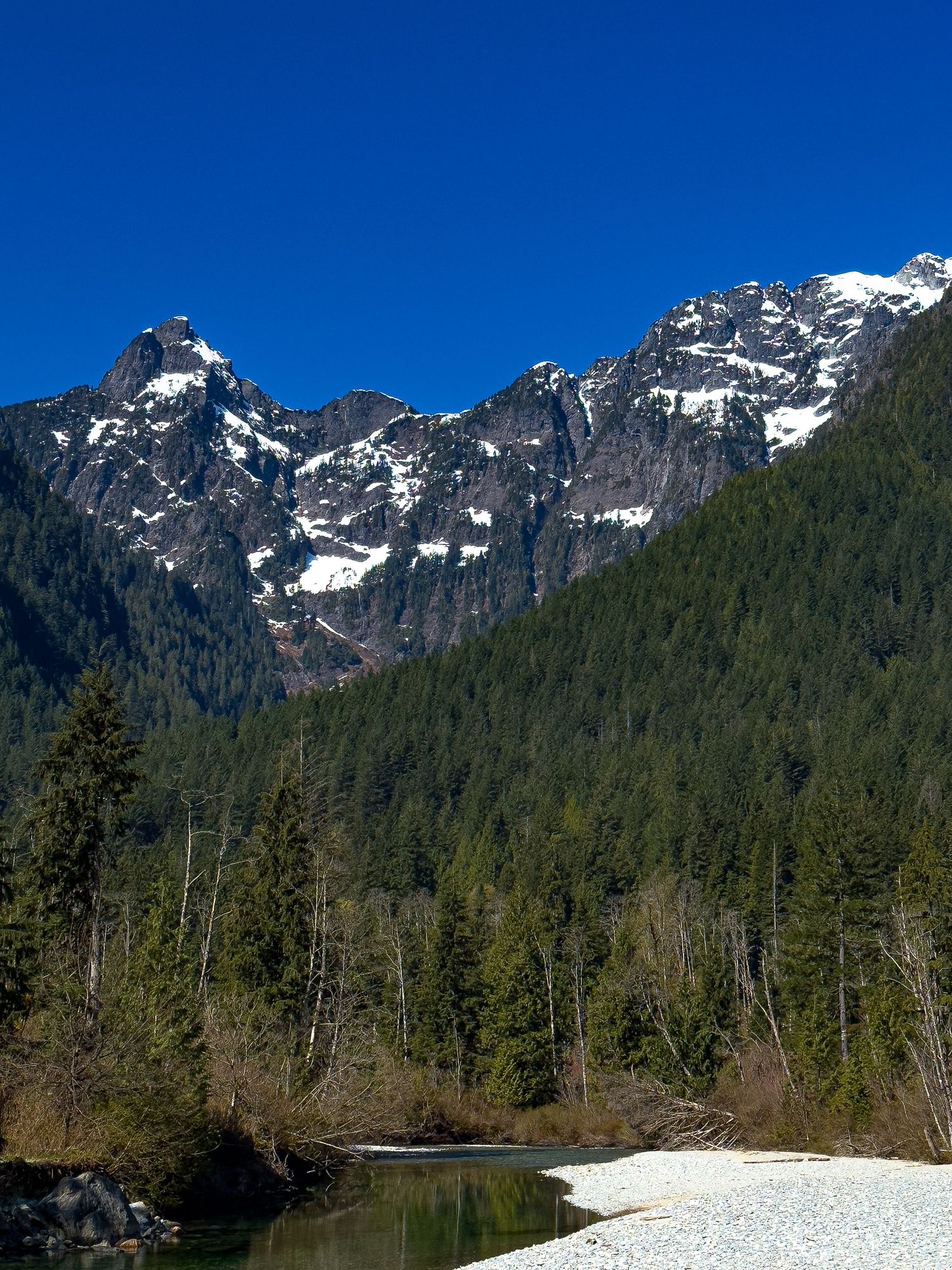 Snow-capped mountain peaks rise above a lush evergreen forest with a serene river in the foreground under a clear blue sky.