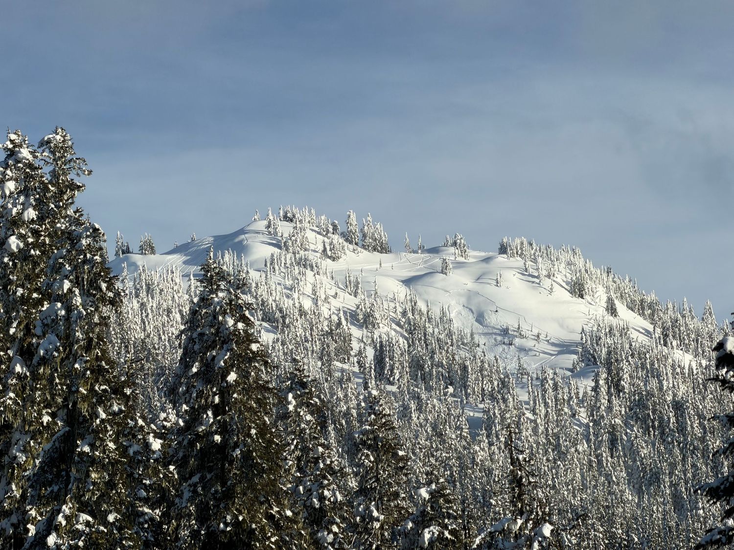 Snow-covered mountain peak with frost-laden evergreen trees under a clear winter sky.