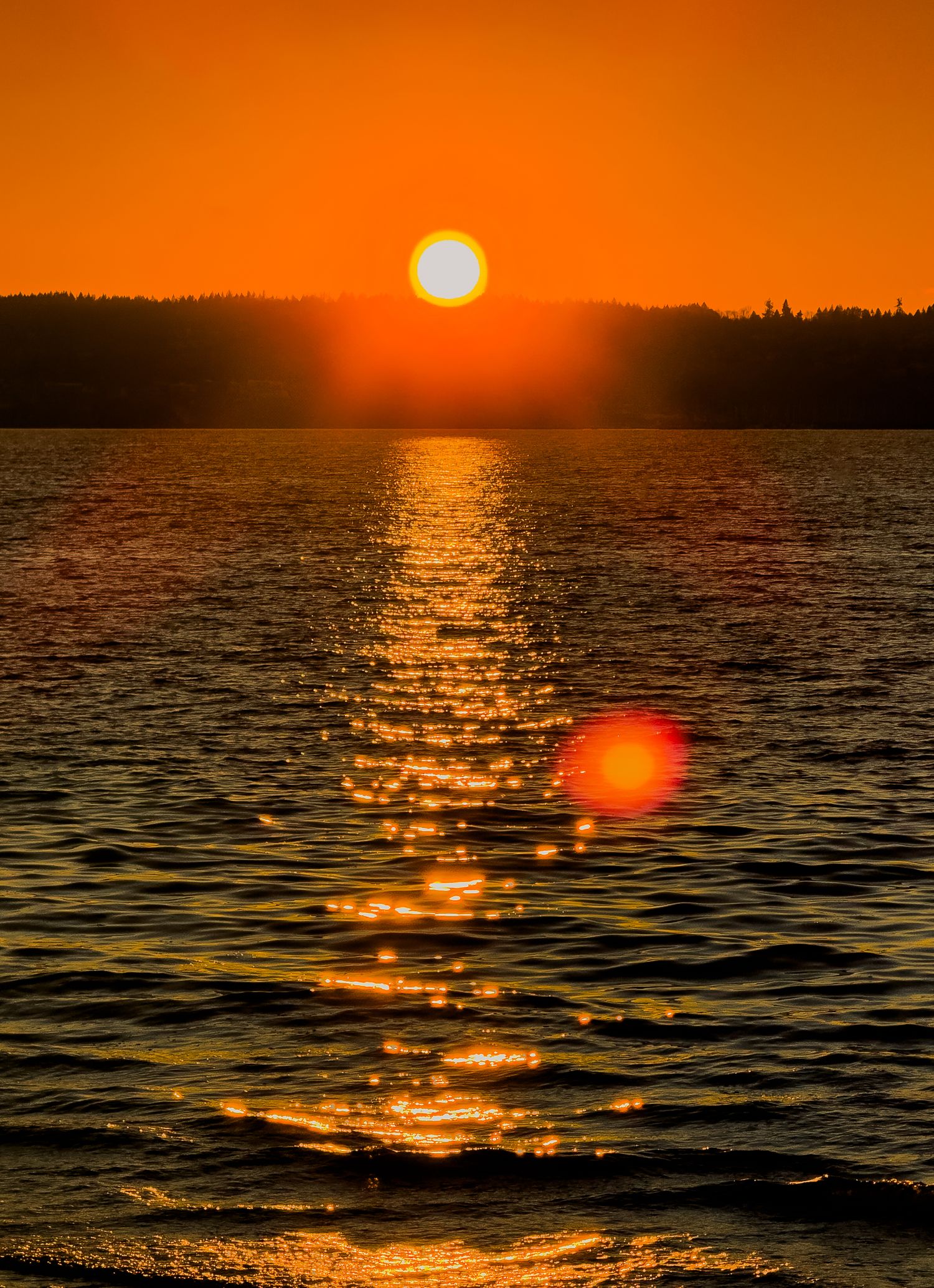 Stunning golden sunset over a lake with sparkling light reflections on calm water.