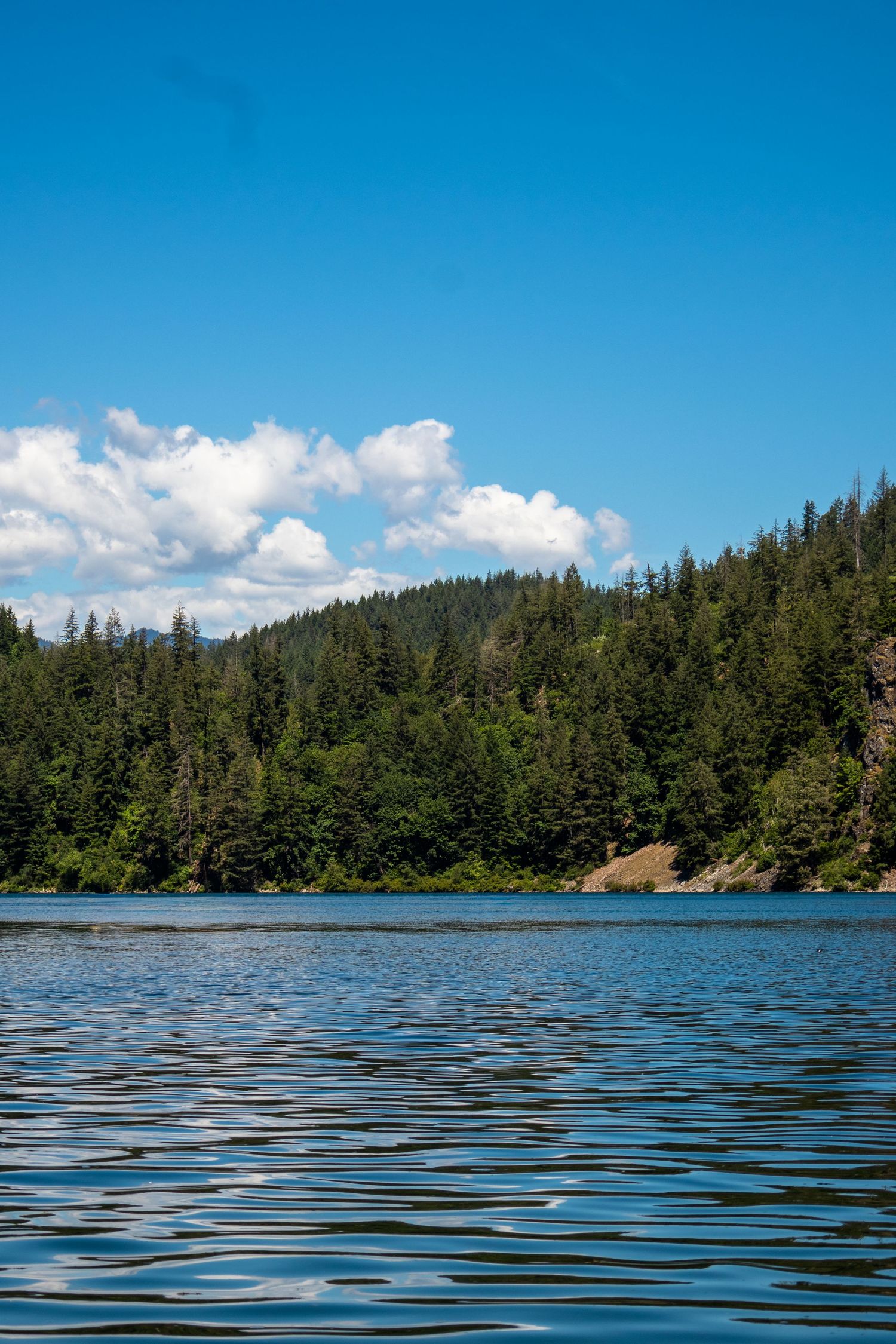 Serene blue lake reflecting dense evergreen forest under bright blue sky with fluffy white clouds.