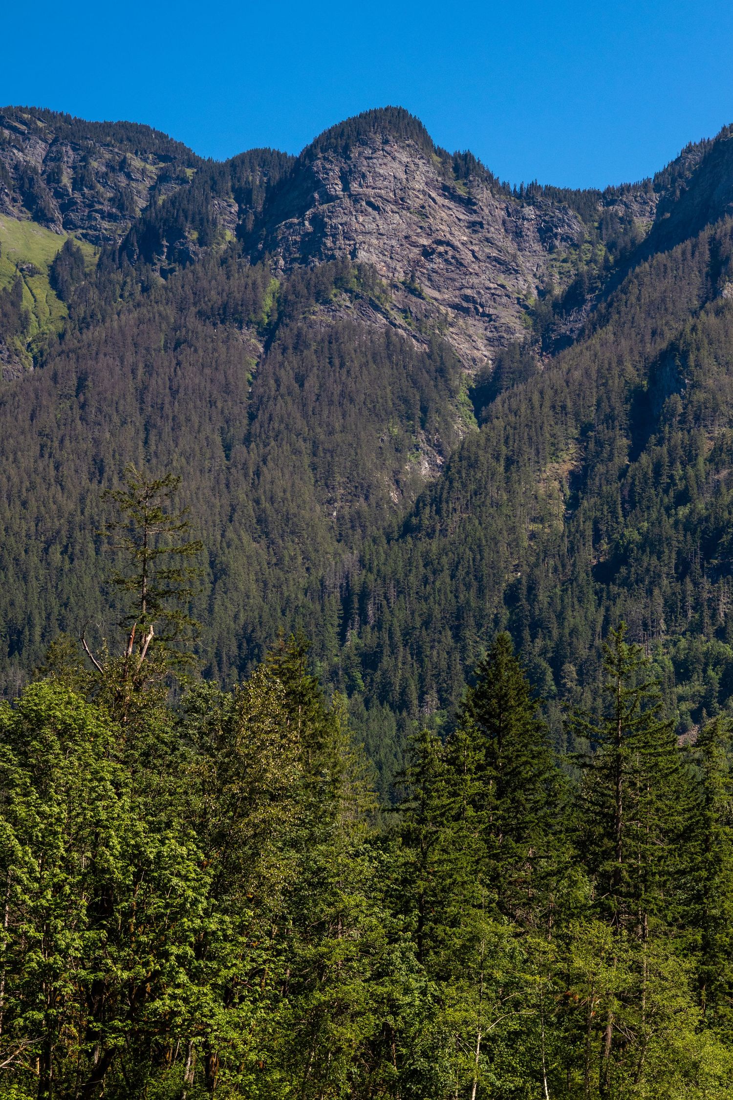 Lush green conifer forest covers steep mountain slopes beneath a rocky peak and clear blue sky.