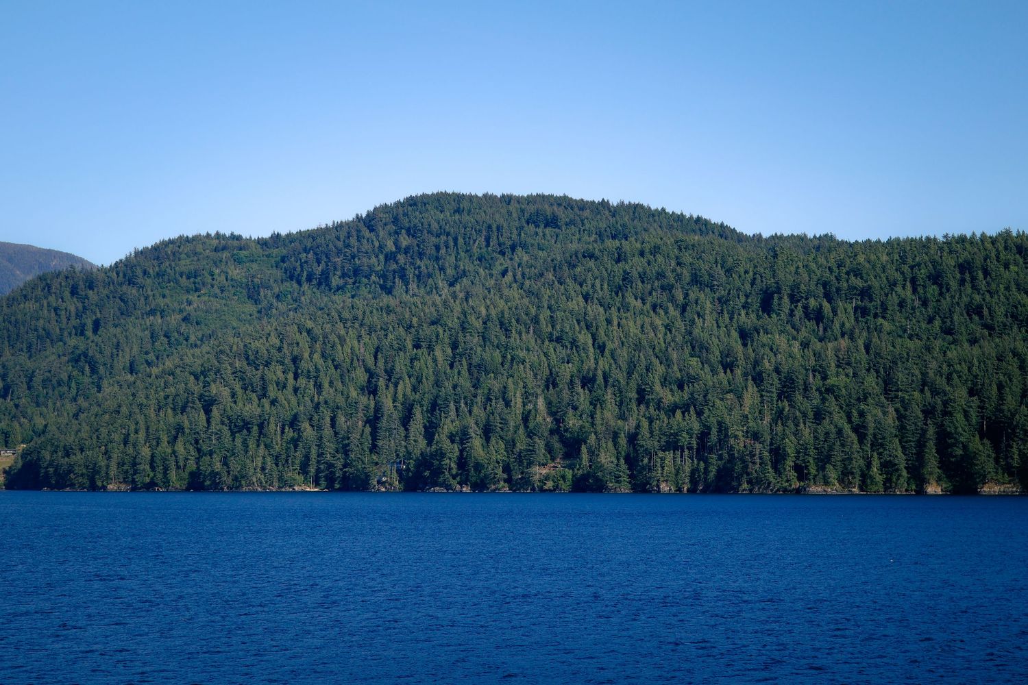 A serene blue lake with a densely forested mountain covered in evergreen trees under a clear blue sky.