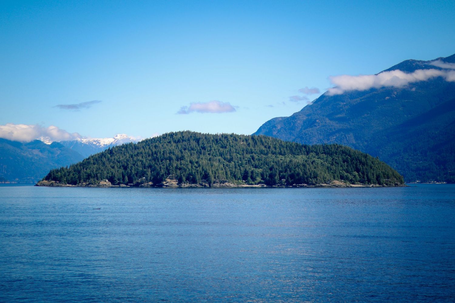 Forested island surrounded by calm blue waters with snow-capped mountains and partly cloudy skies in the background.