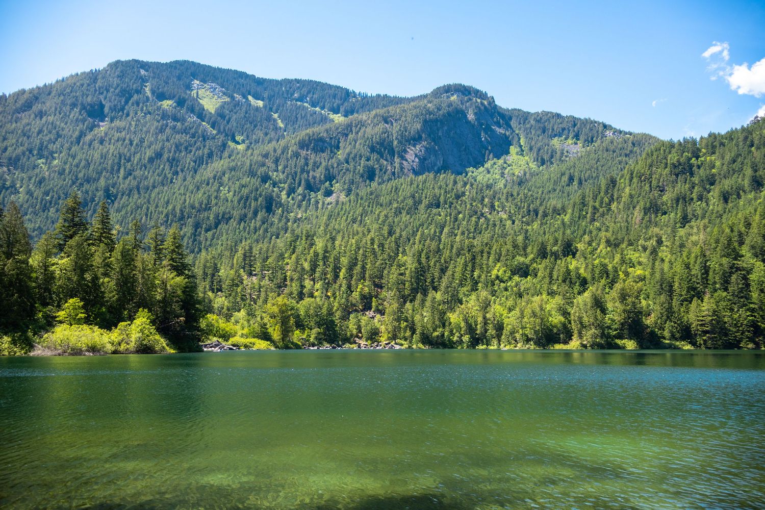 Serene alpine lake with crystal-clear green water surrounded by dense evergreen forest and mountain peaks under blue sky.