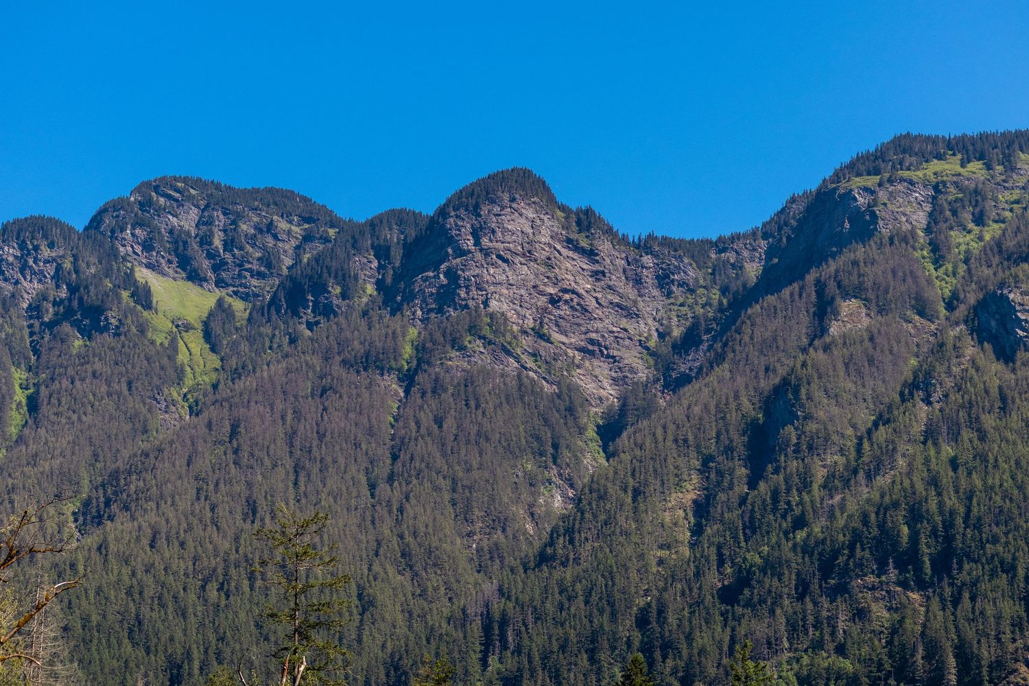 Rocky mountain peaks covered in dense evergreen forests under a clear blue sky.